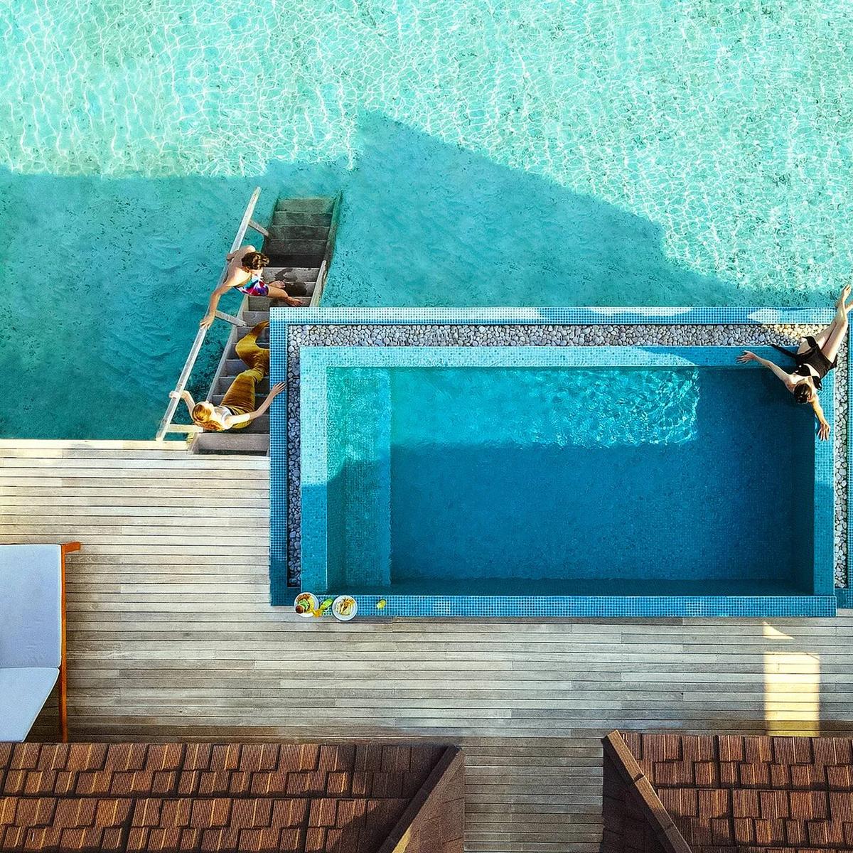 Guests jumping into a plunge pool at The Standard — the resort has not published a dedicated photograph of Todis Bar; this playful poolside moment stands in