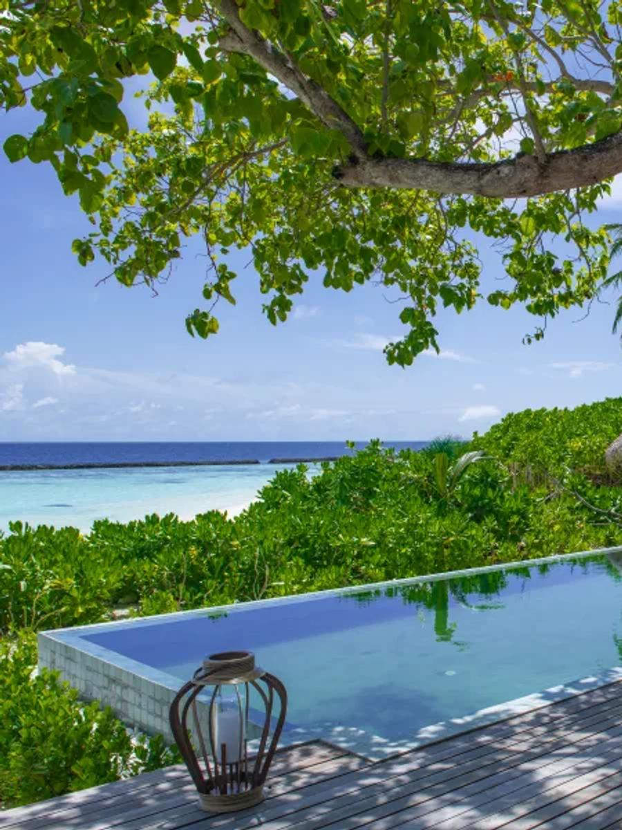 The private pool deck of the Two-bedroom Baros Retreat, shaded by a large tree with the lagoon and reef visible beyond the garden