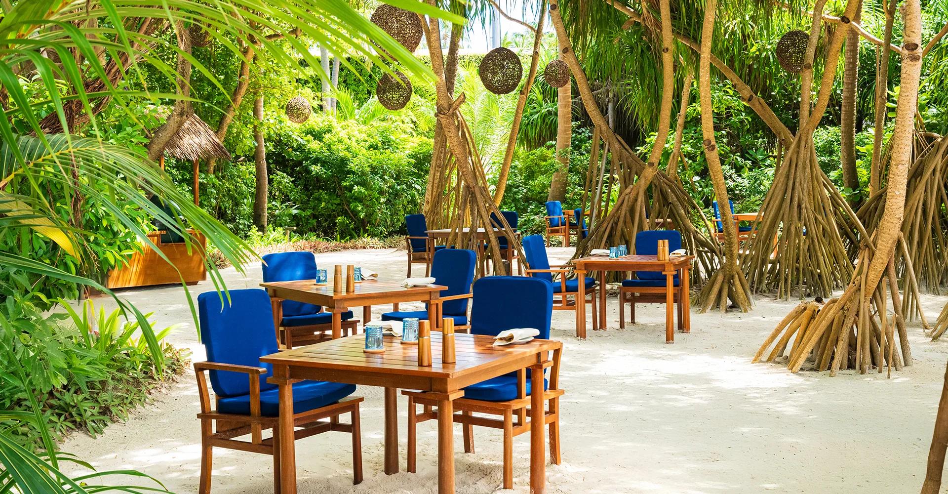 Azure, Milaidhoo's beach lunch restaurant shaded by screw pines.