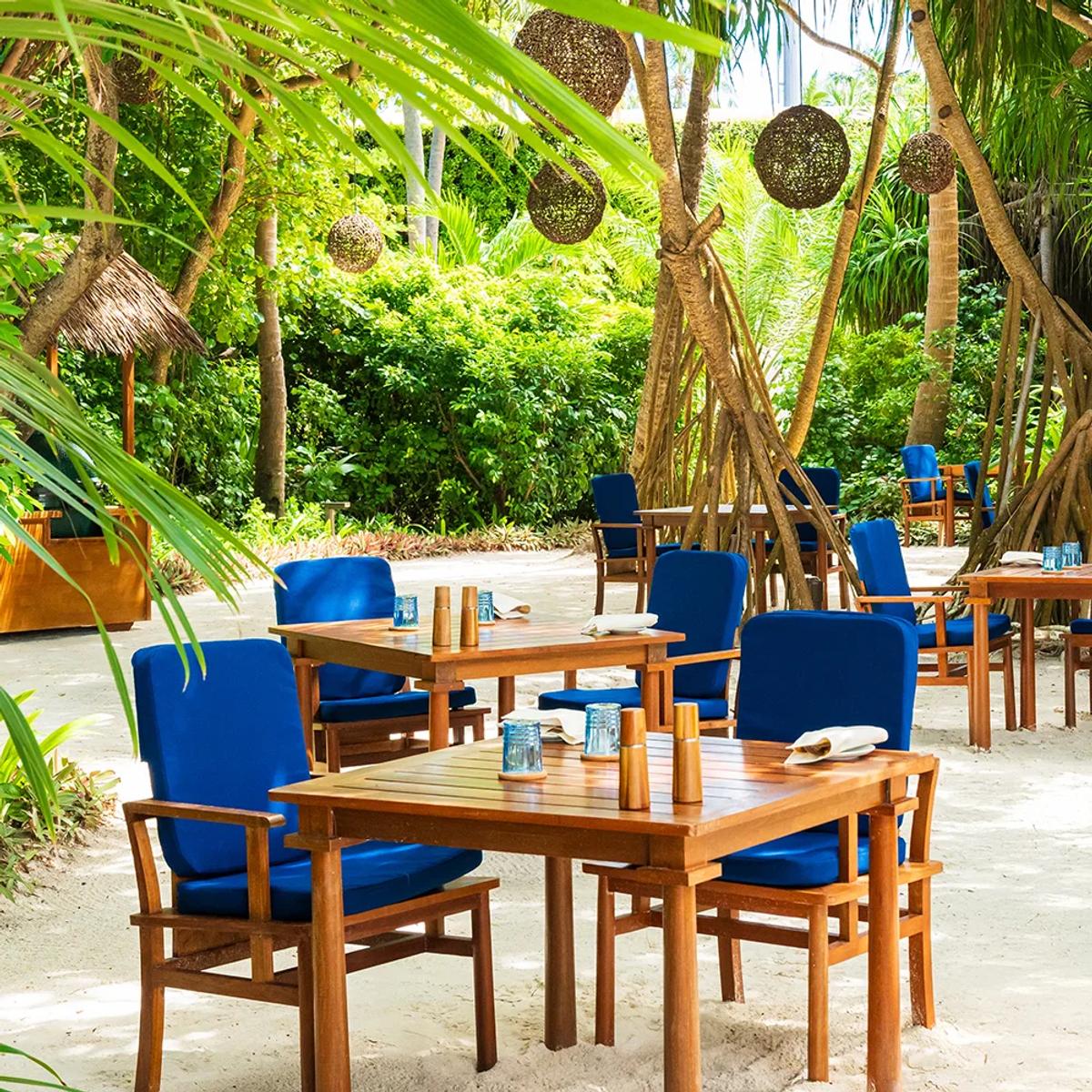 Azure, Milaidhoo's beach lunch restaurant shaded by screw pines.