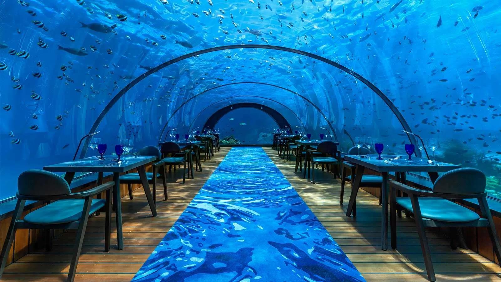 Diners seated in the curved glass tunnel of the 5.8 Undersea Restaurant, reef fish swimming overhead