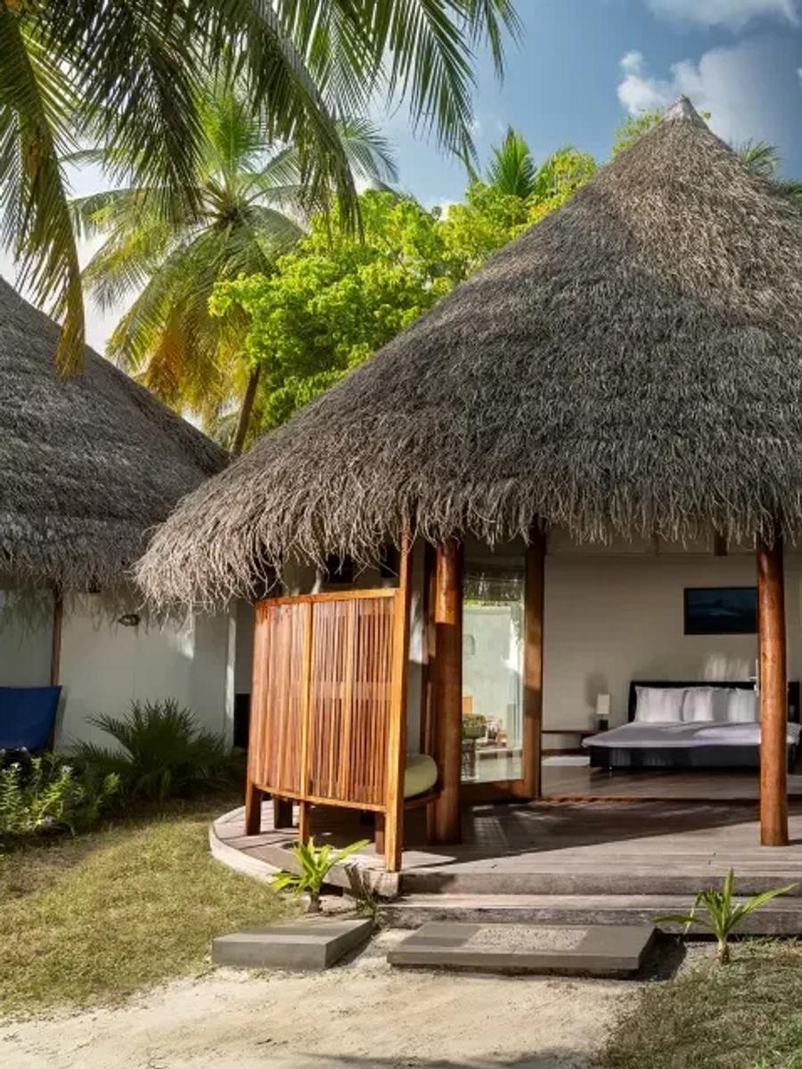 Superior Beach Villa's thatched exterior and private deck with sun loungers, set among coconut palms