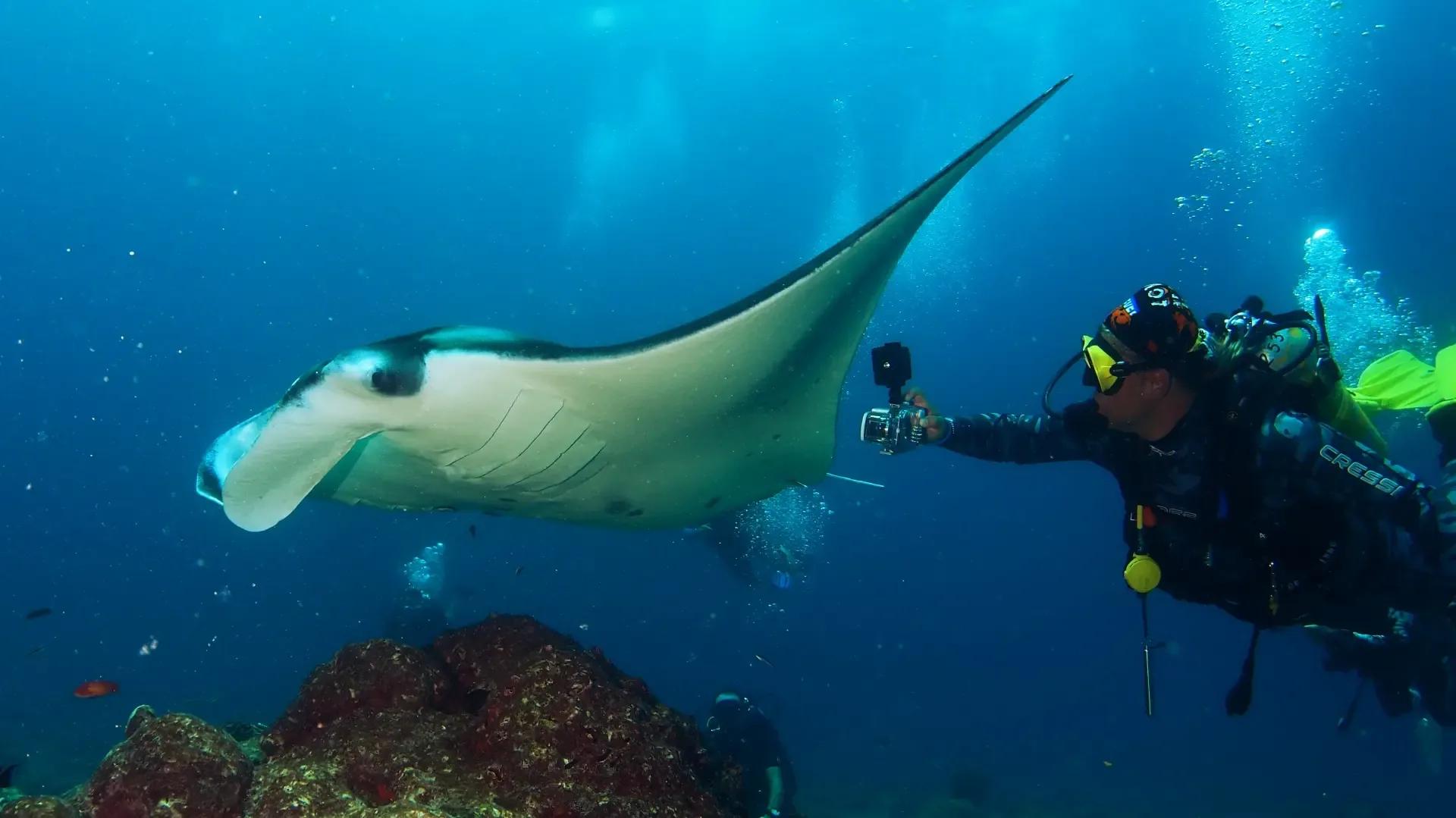 A manta ray gliding past a diver filming with a handheld camera over Kuramathi's reef