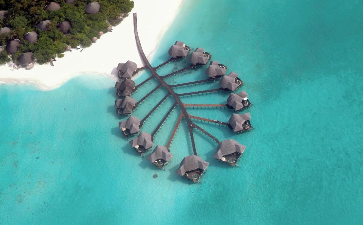 Aerial view of Coco Palm Dhuni Kolhu's overwater villas fanned out along a single jetty from the island's beach