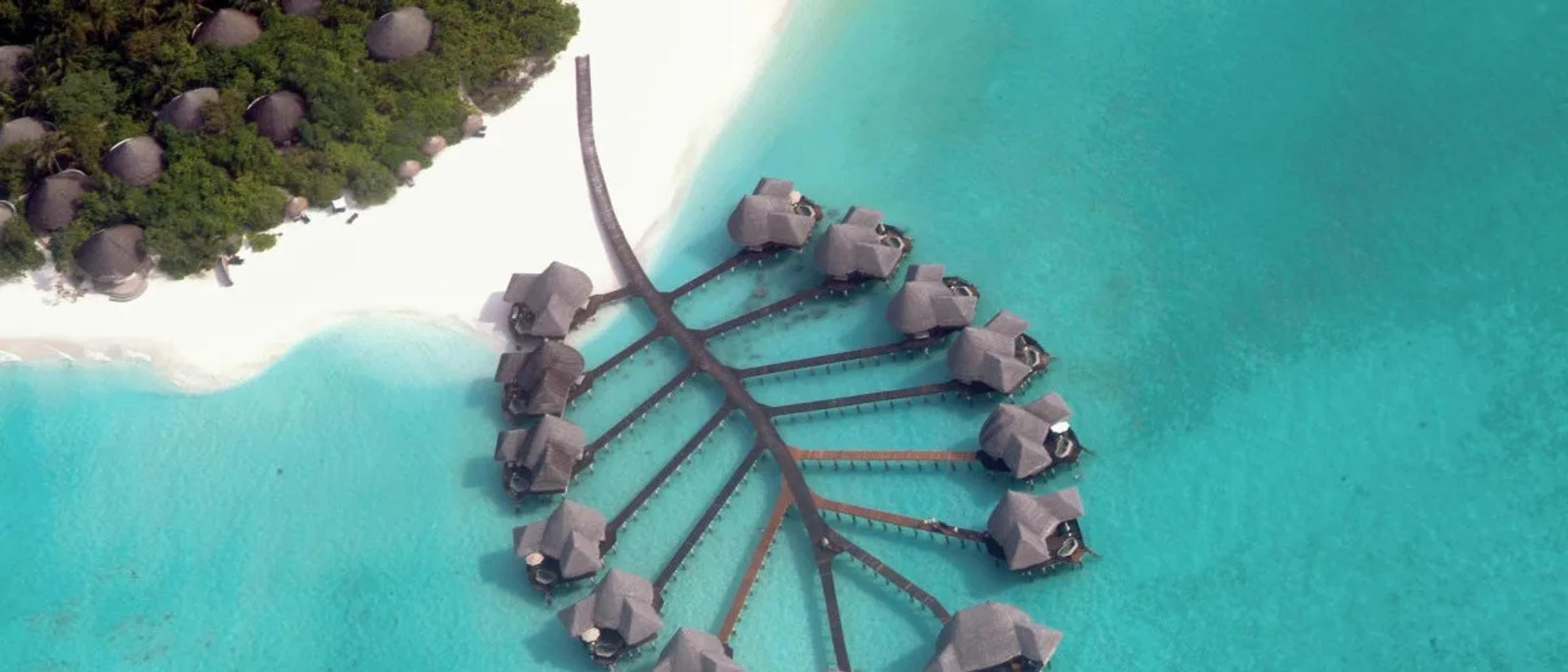 Aerial view of Coco Palm Dhuni Kolhu's overwater villas fanned out along a single jetty from the island's beach