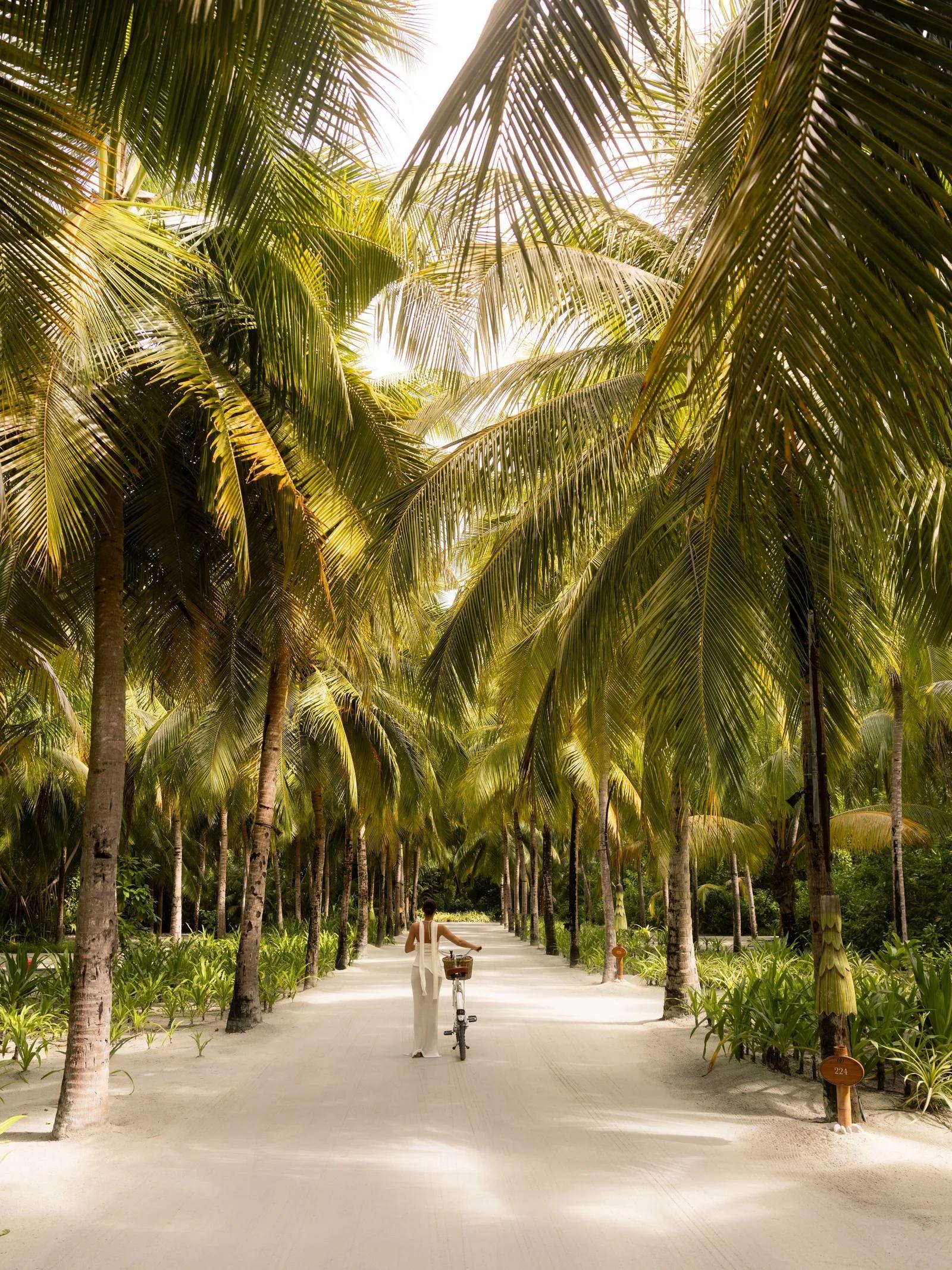A guest walking a bicycle down a sand path lined with tall palm trees at One&Only Reethi Rah