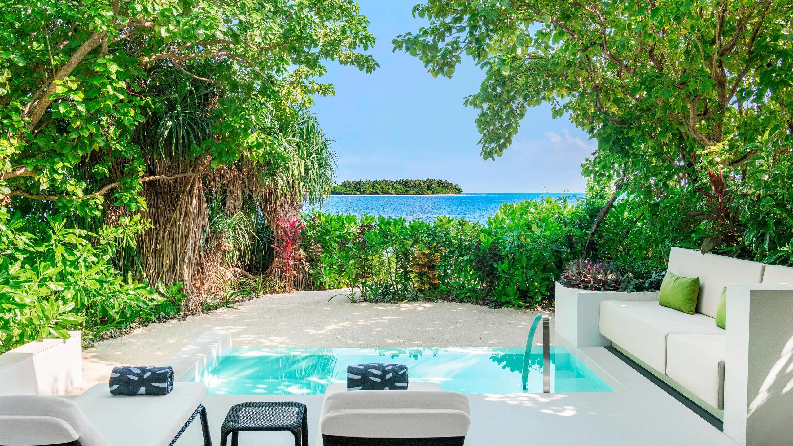 A private plunge pool framed by garden greenery, a neighbouring island visible across the water