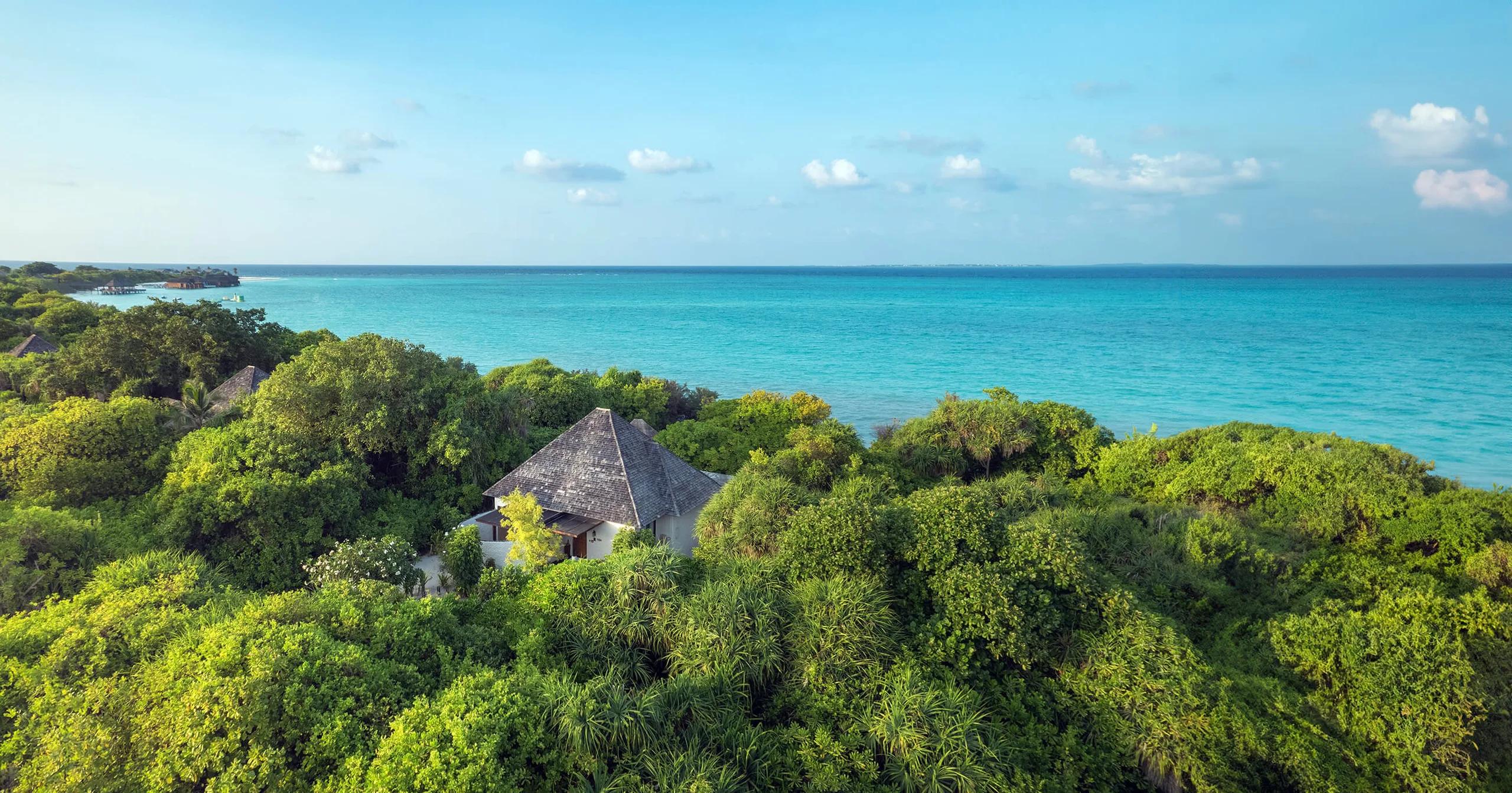 A villa rooftop rising through palm and screwpine canopy on Hideaway's private beach, Haa Alifu Atoll