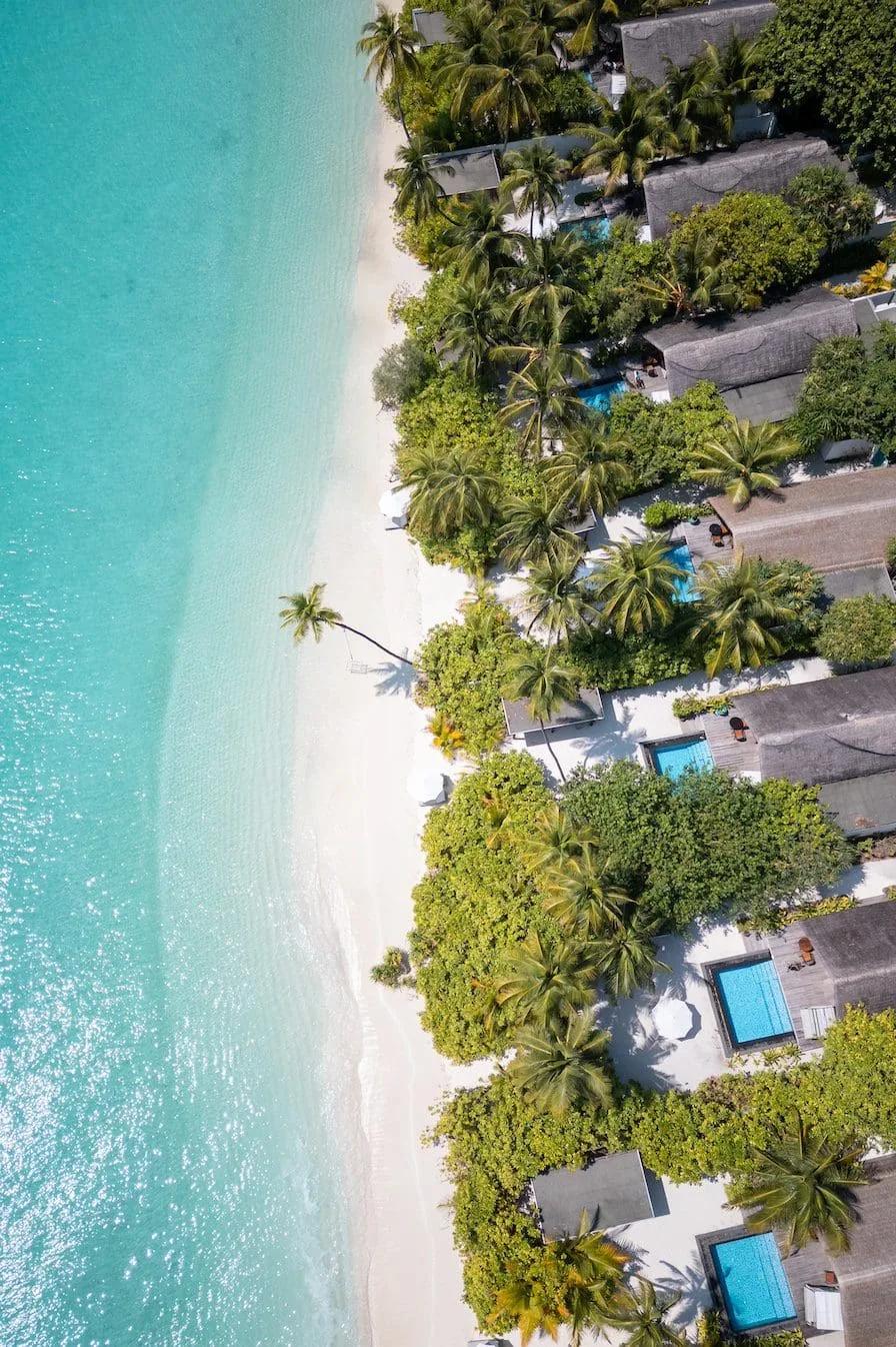 Aerial view of beachfront villas with private plunge pools set among palm trees along the shoreline