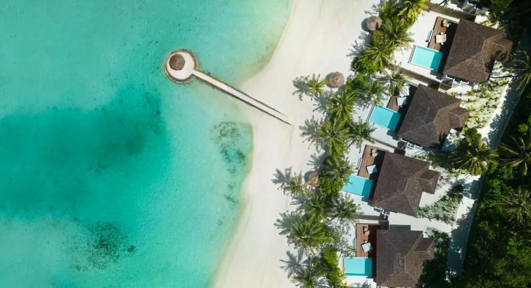 Aerial view of a row of Beach Pool Villas with private pools set among palm trees by the beach