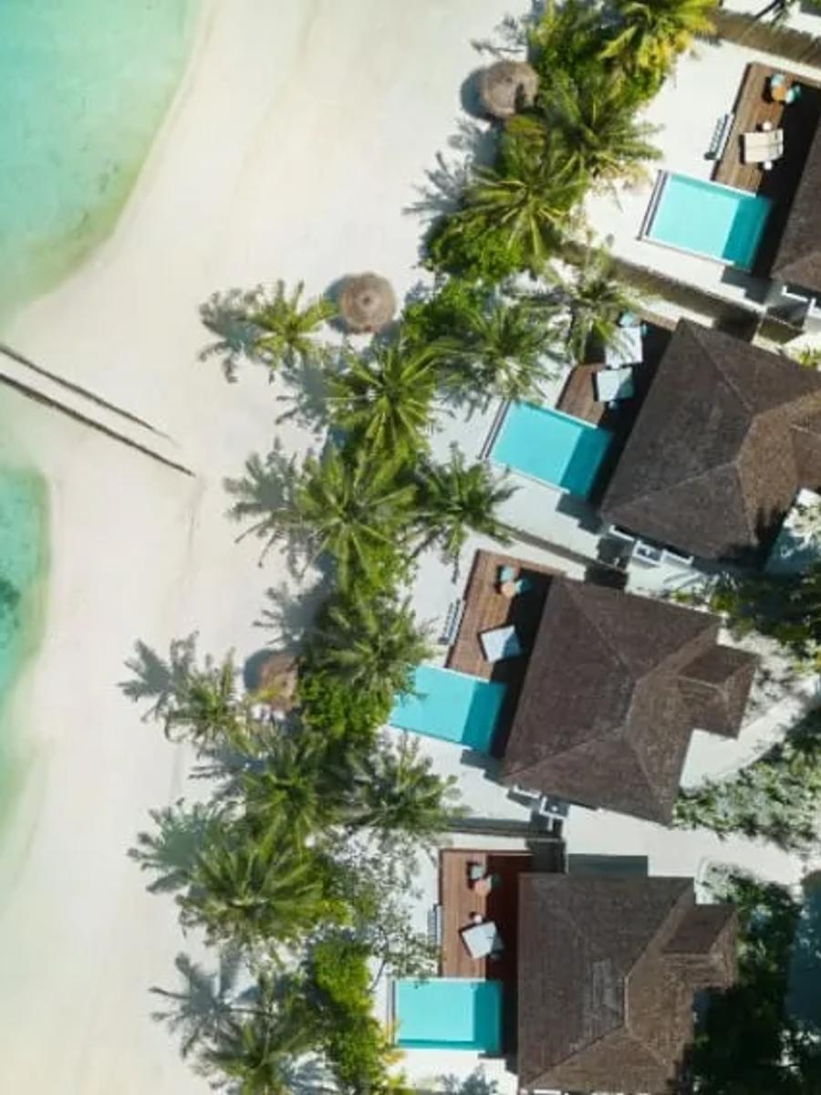 Aerial view of a row of Beach Pool Villas with private pools set among palm trees by the beach