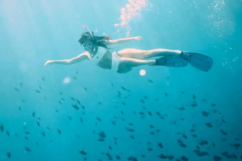 A snorkeller swimming over a school of reef fish in clear water