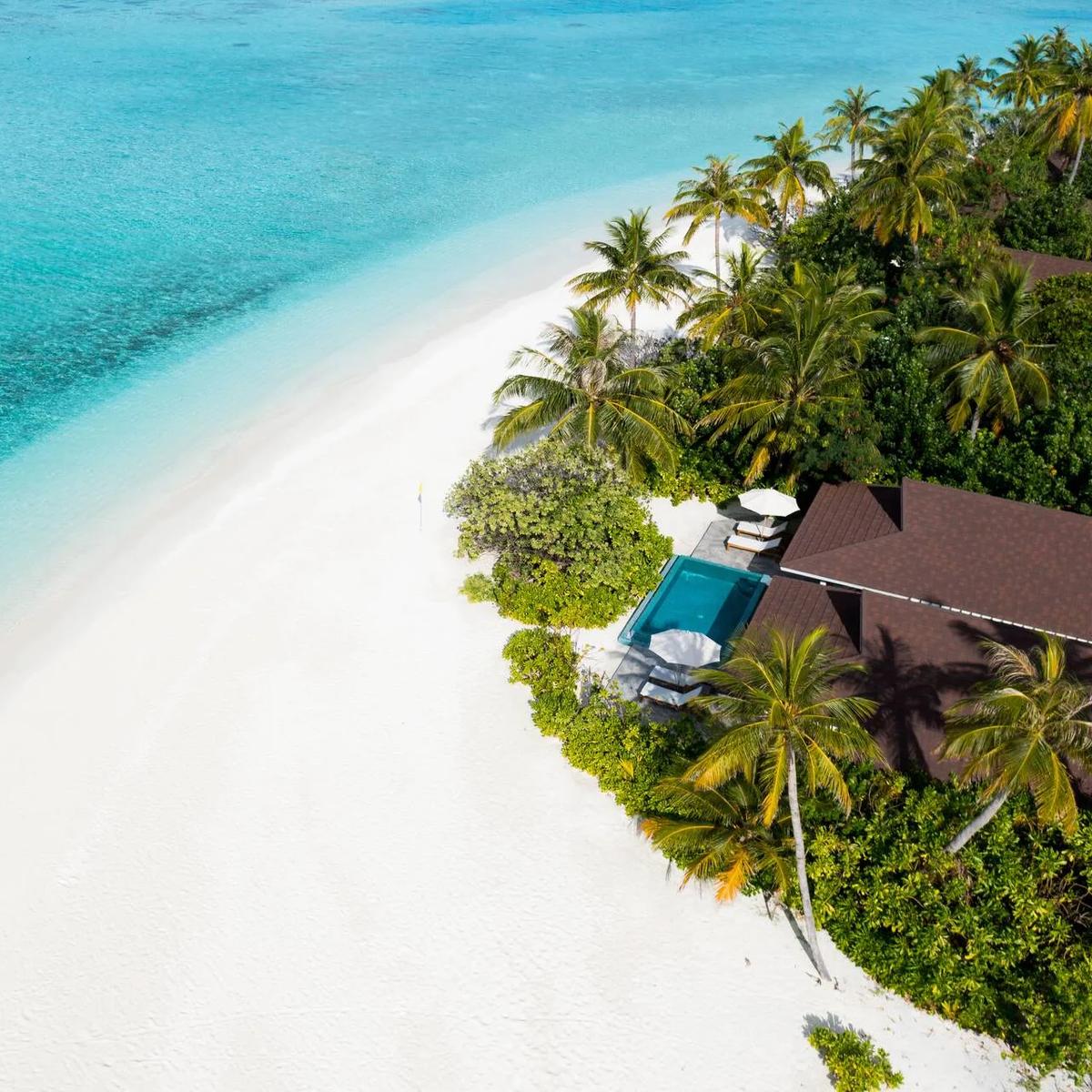 Top-down aerial of The Standard, Huruvalhi Maldives' beach edge, a private plunge pool and peaked villa roof set among palms beside the reef