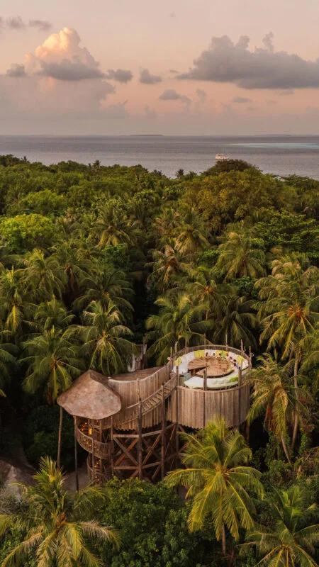 Flying Sauces' treetop dining platform rising above the jungle canopy at dusk, reached by a spiral staircase, with the ocean and a passing boat visible beyond