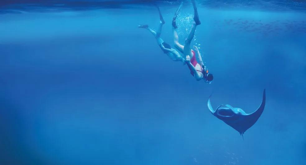 A snorkeller swimming alongside a manta ray near Anantara Kihavah's house reef
