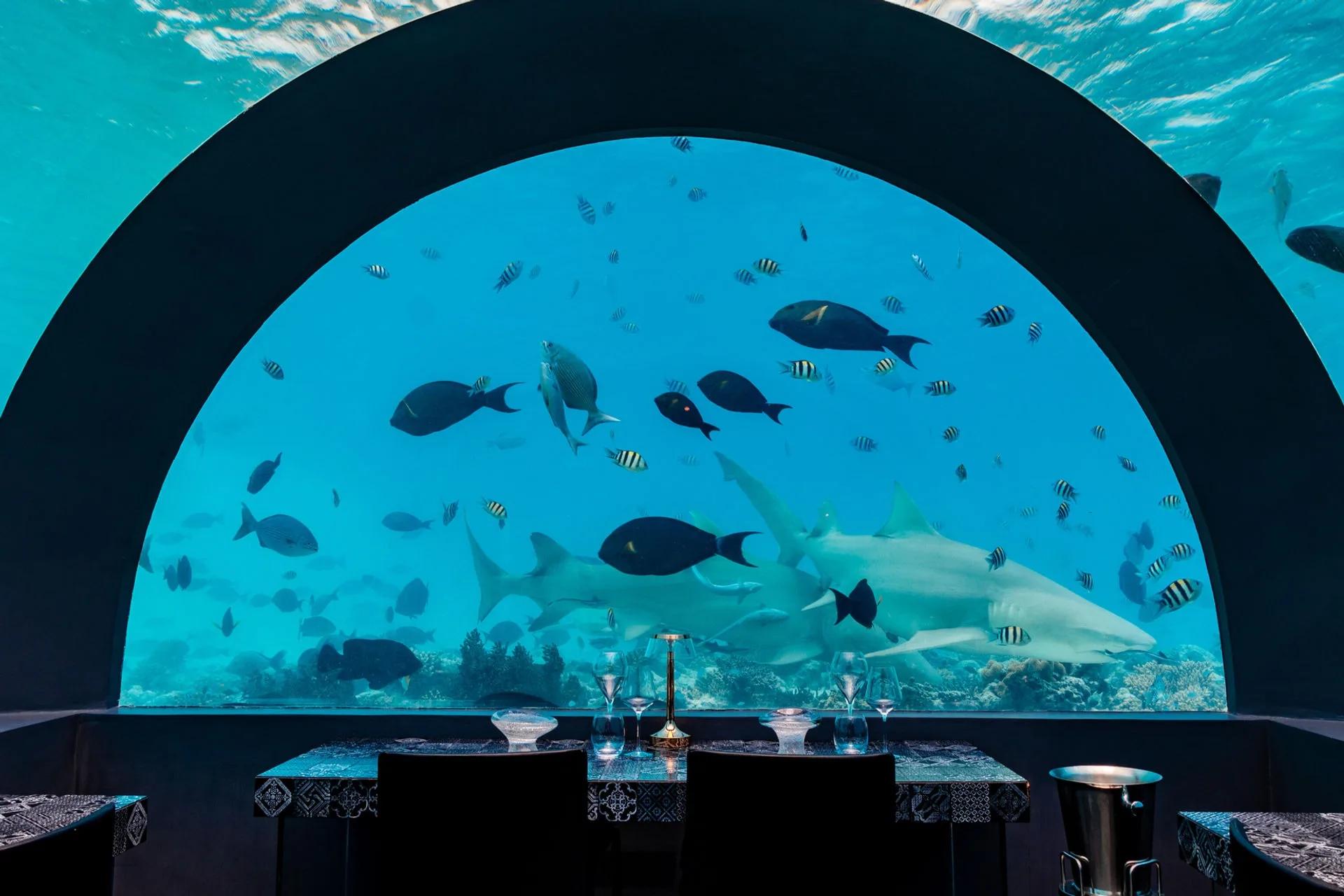 H2O by Andrea Berton, You & Me Maldives' fully submerged underwater restaurant
