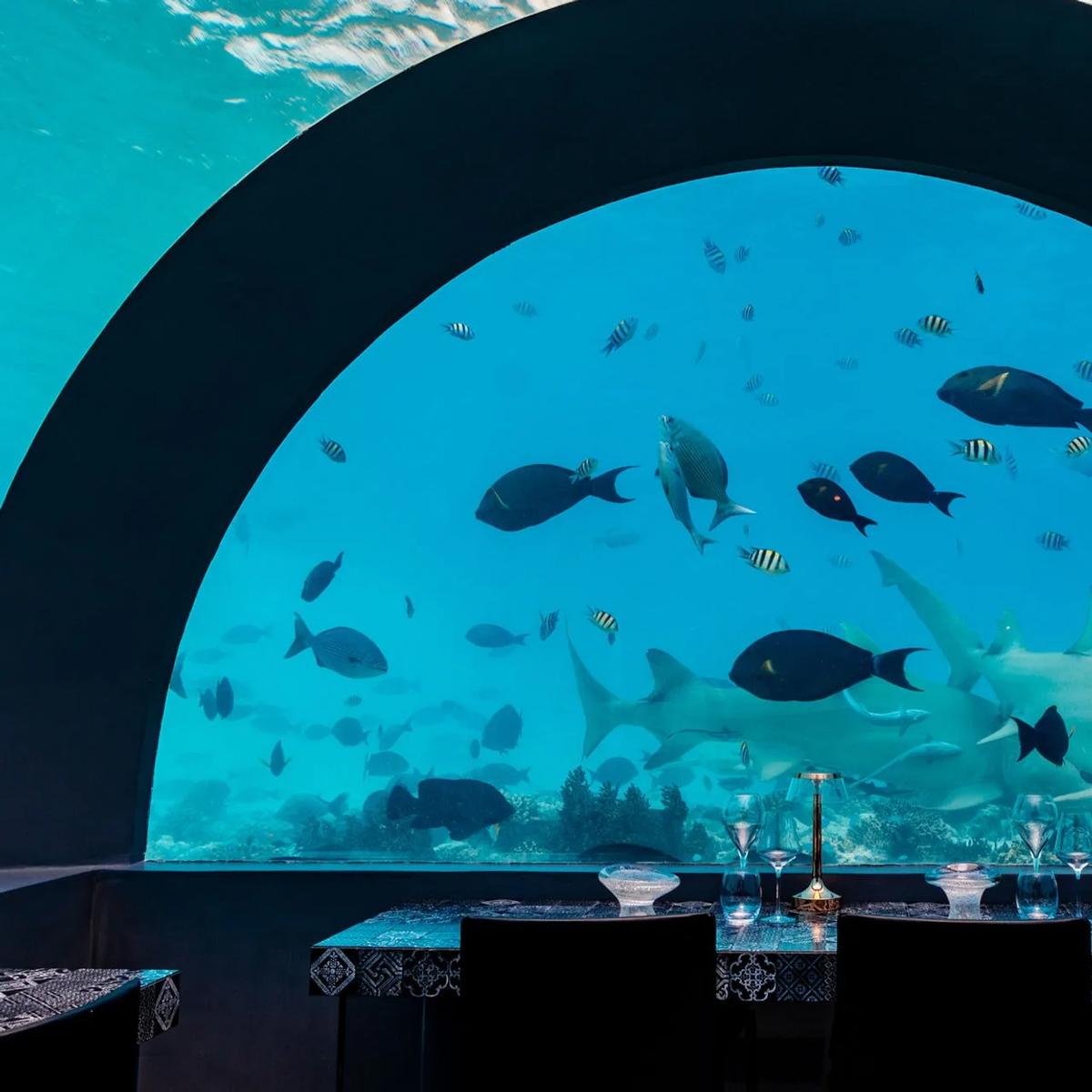 H2O by Andrea Berton, You & Me Maldives' fully submerged underwater restaurant