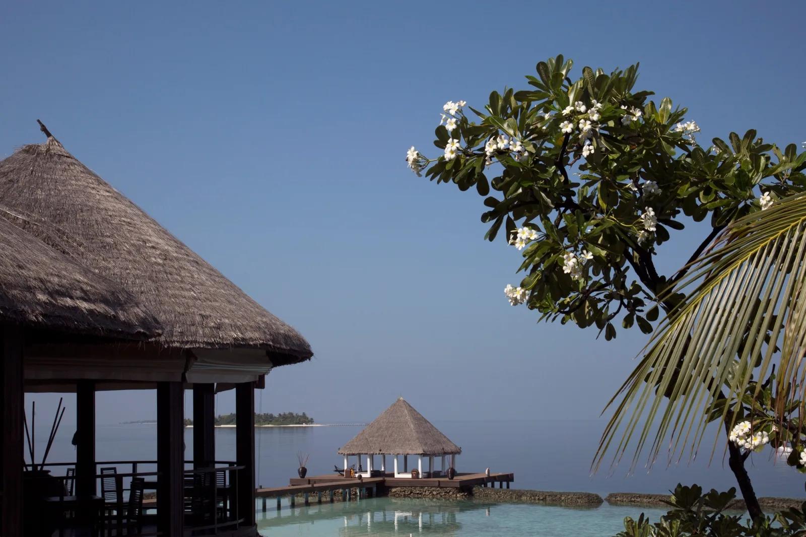 A thatched pavilion and smaller gazebo on the lagoon near Tsuki restaurant, frangipani blossom in the foreground