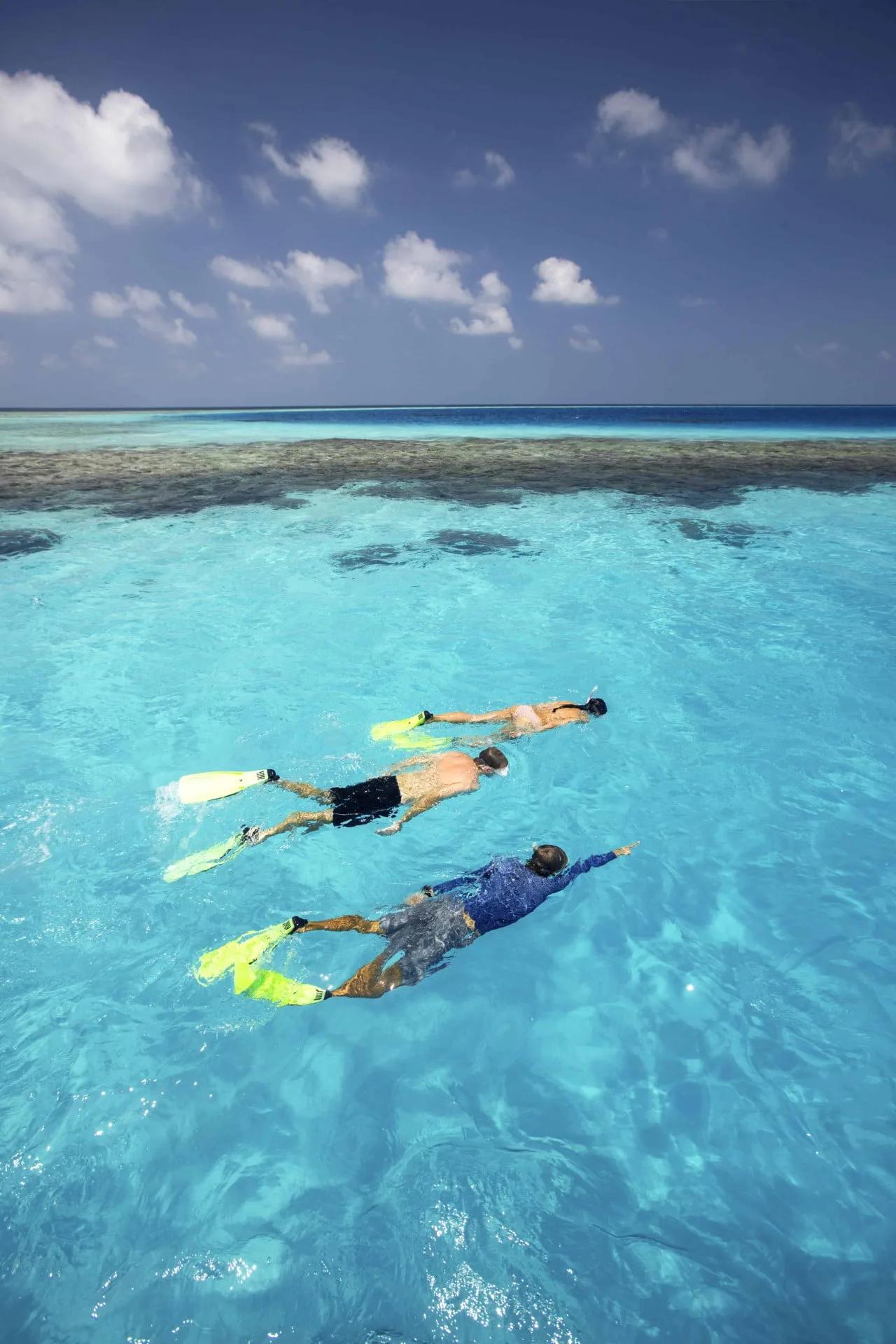 A guided snorkel with the resort's marine biologist over Gili Lankanfushi's lagoon