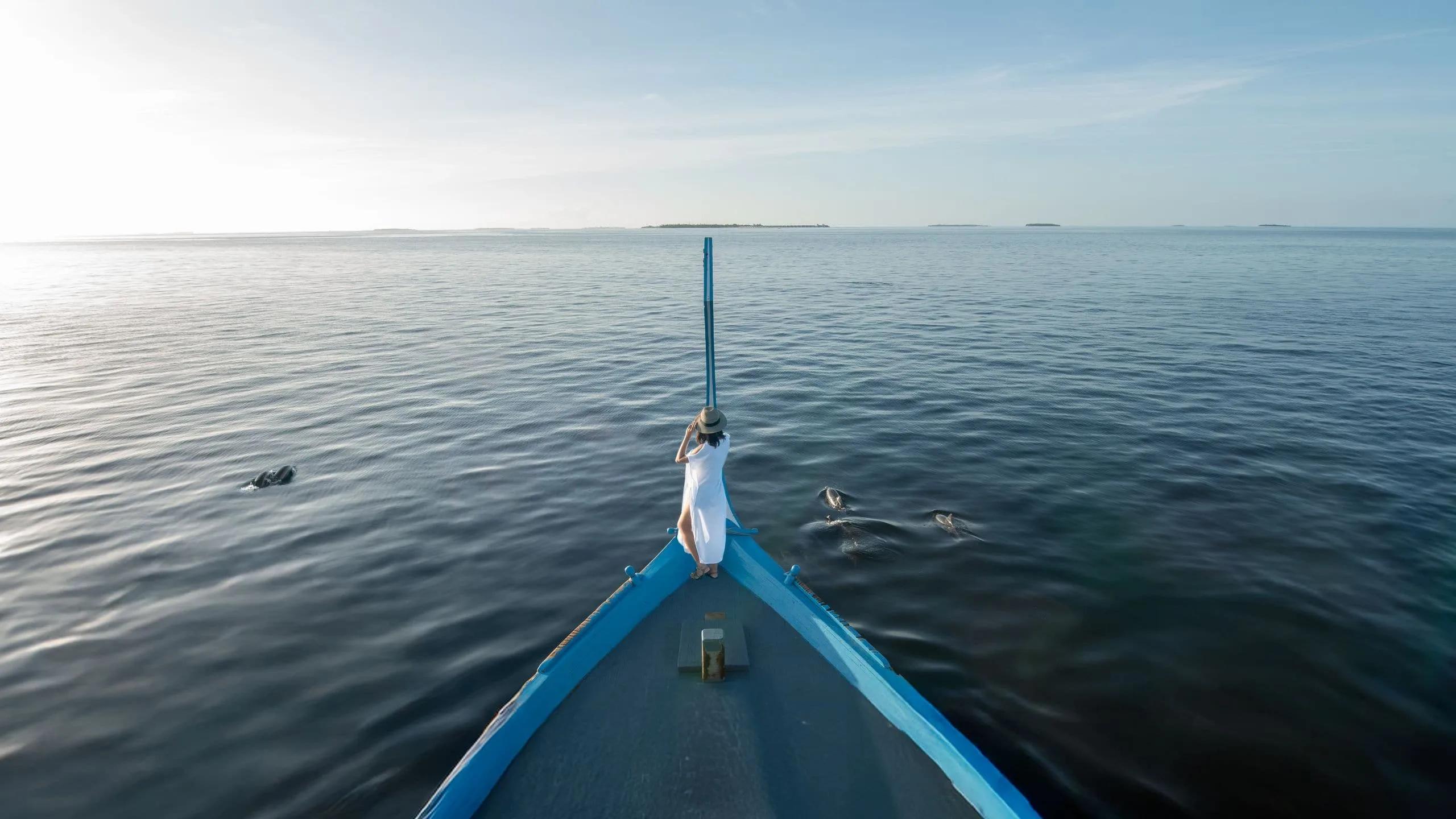 A sunset dolphin cruise off Kothaifaru, dolphins visible near the boat