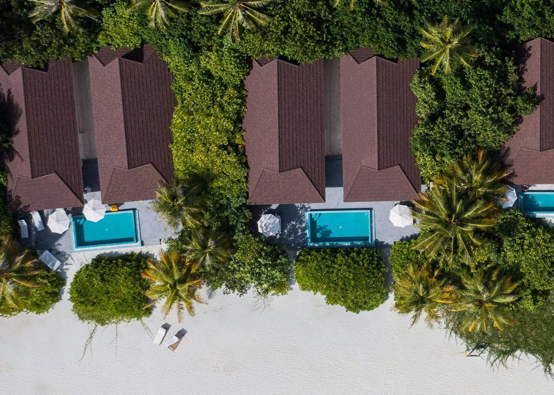Aerial view of two beach villa rooftops with private plunge pools between them, framed by palm trees a few steps from the sand