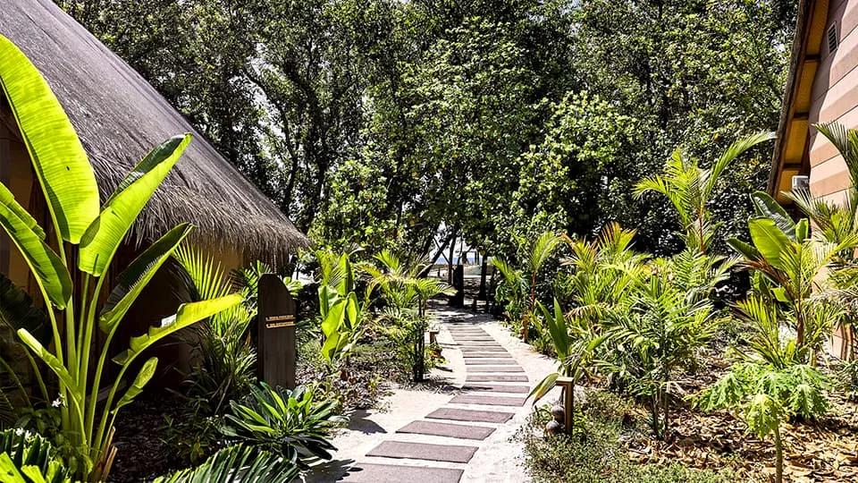 A stone path through JOALI's Healing Garden, lined with banana leaves and palms beside a thatched-roof building
