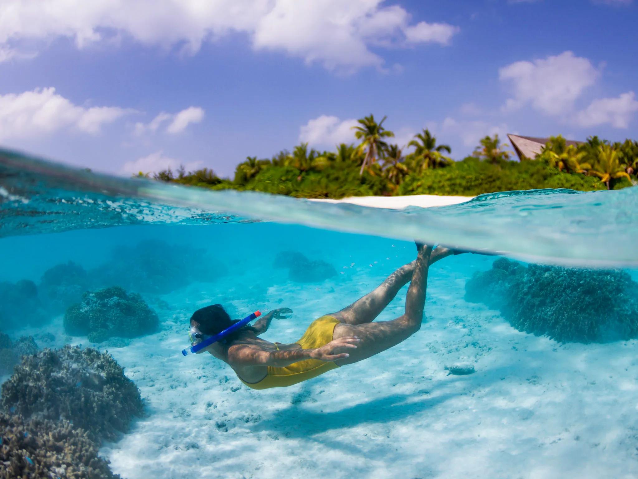 A split-level view of a snorkeller gliding over a sandy reef, with palm trees and an overwater villa roofline visible above the waterline