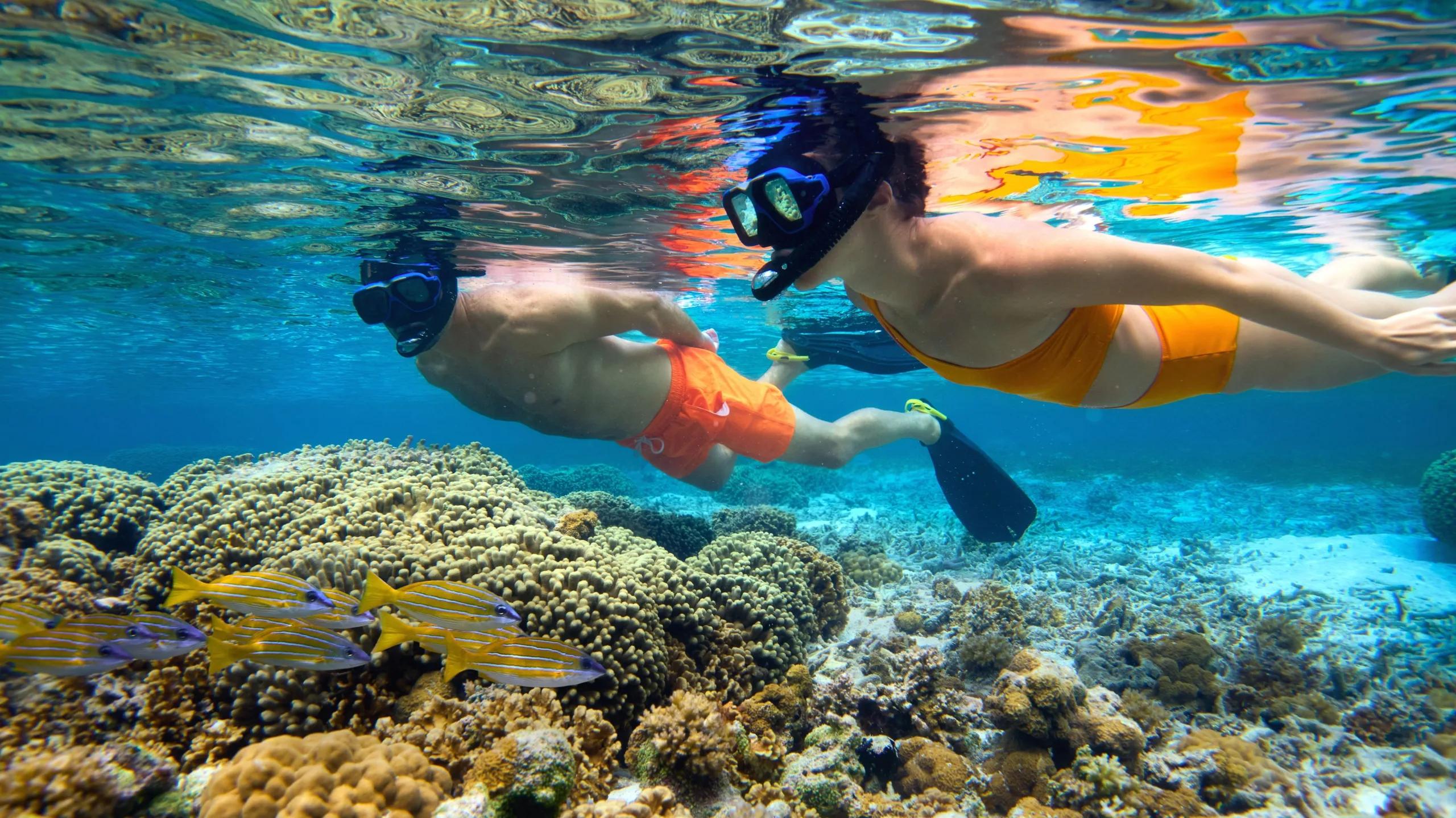 Two snorkellers over a coral reef in the clear water of Lhaviyani Atoll, home to more than 50 dive sites