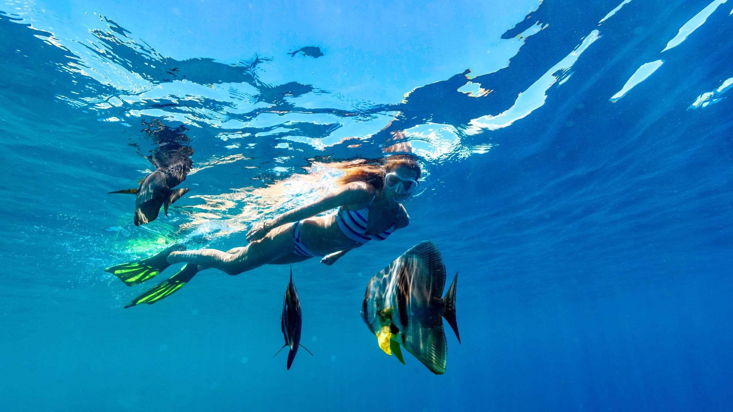 A snorkeller swimming face-down over the reef with fish close by, sunlight rippling through the shallow water
