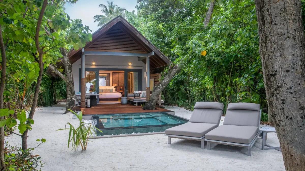 A Beach Villa with Plunge Pool lit at dusk, its private pool and open-plan bedroom visible through the trees