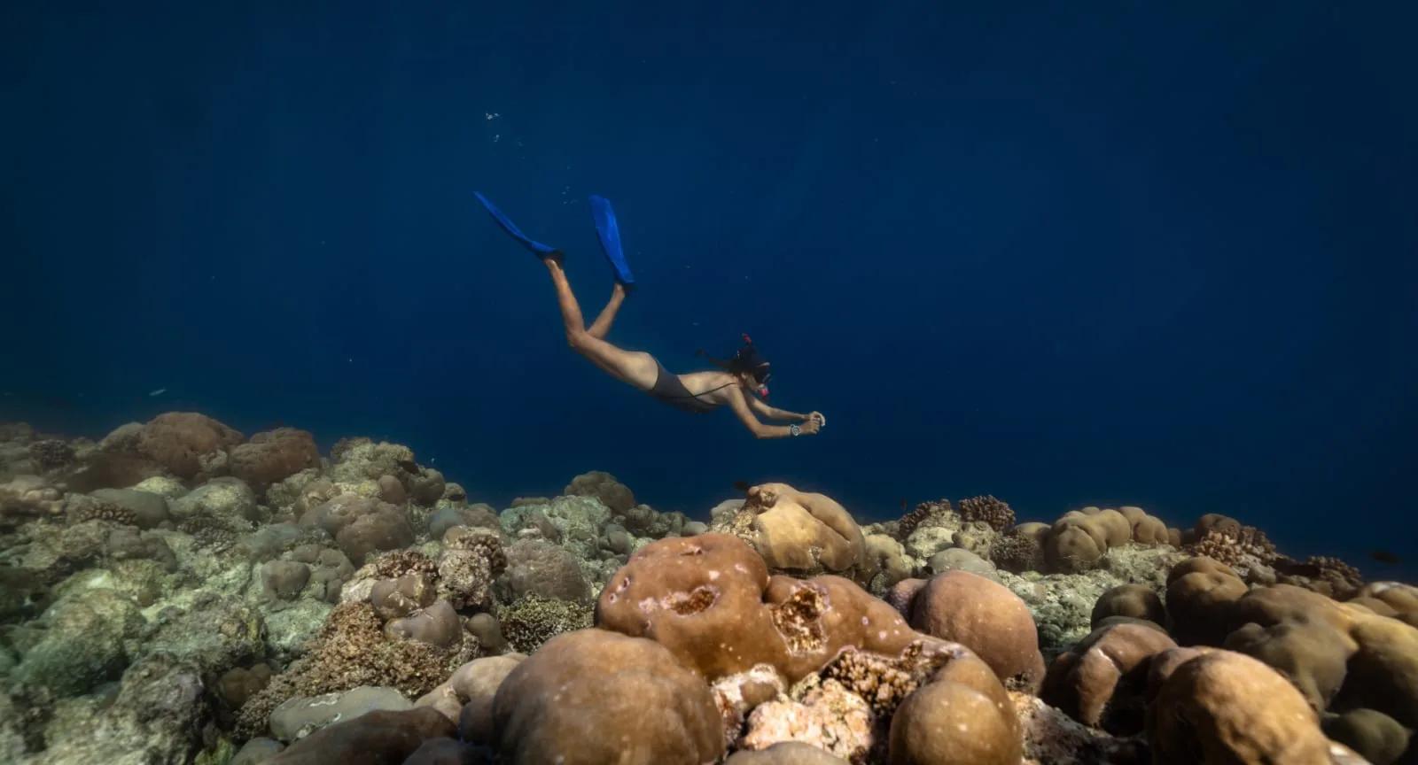 A guest snorkelling above the reef at Avani+ Fares Maldives Resort