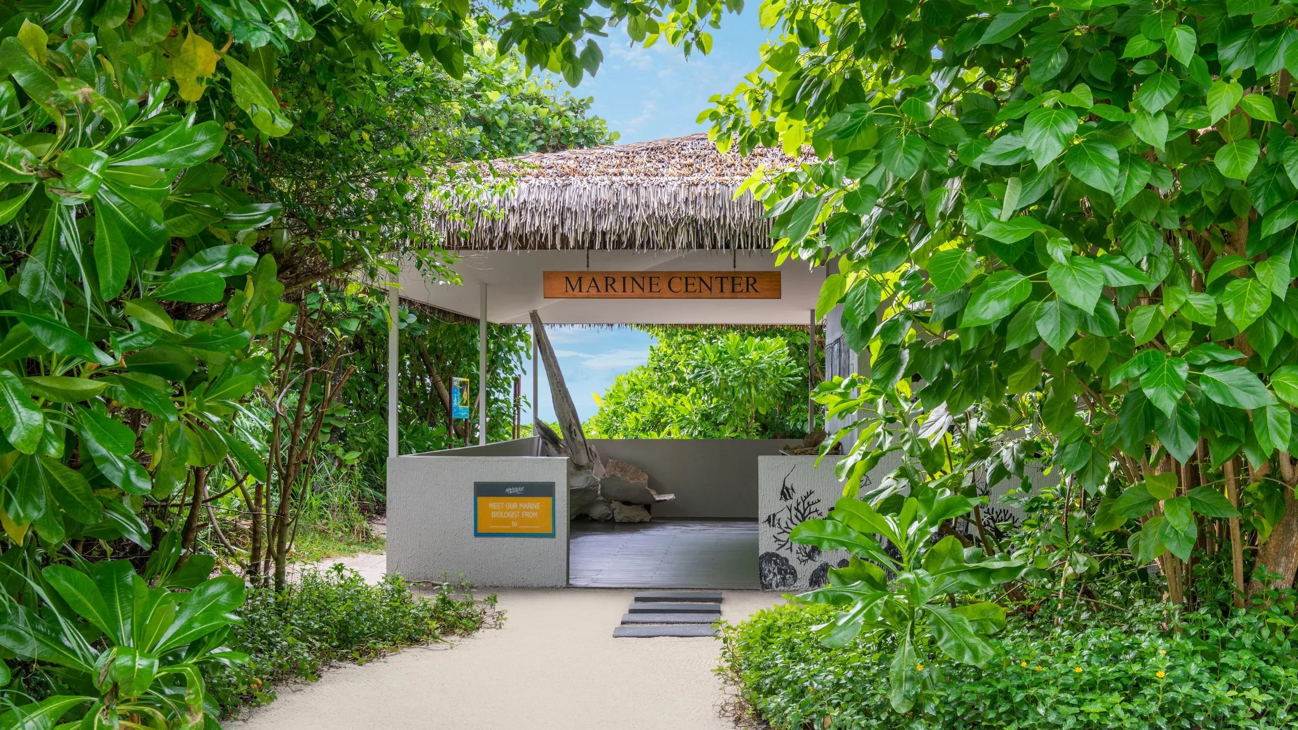 The resort's Marine Hub, which runs coral reef restoration and turtle conservation education