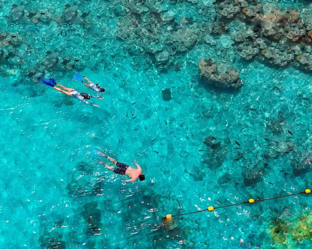 Aerial view of three snorkellers swimming over Kuramathi's house reef, a marker rope with buoys running along the reef edge