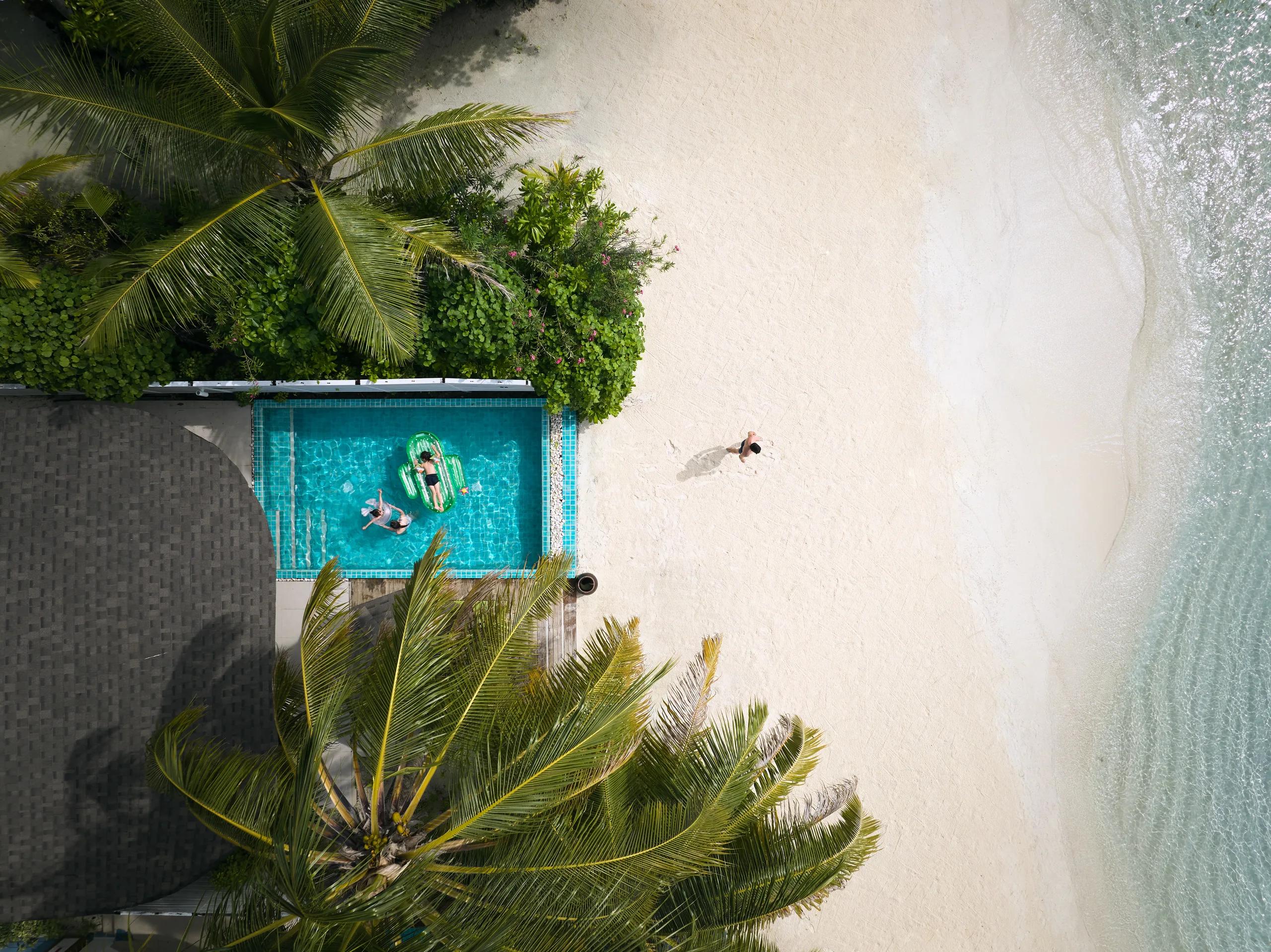 A straight-down aerial view of a beachfront villa's plunge pool shaded by a coconut palm