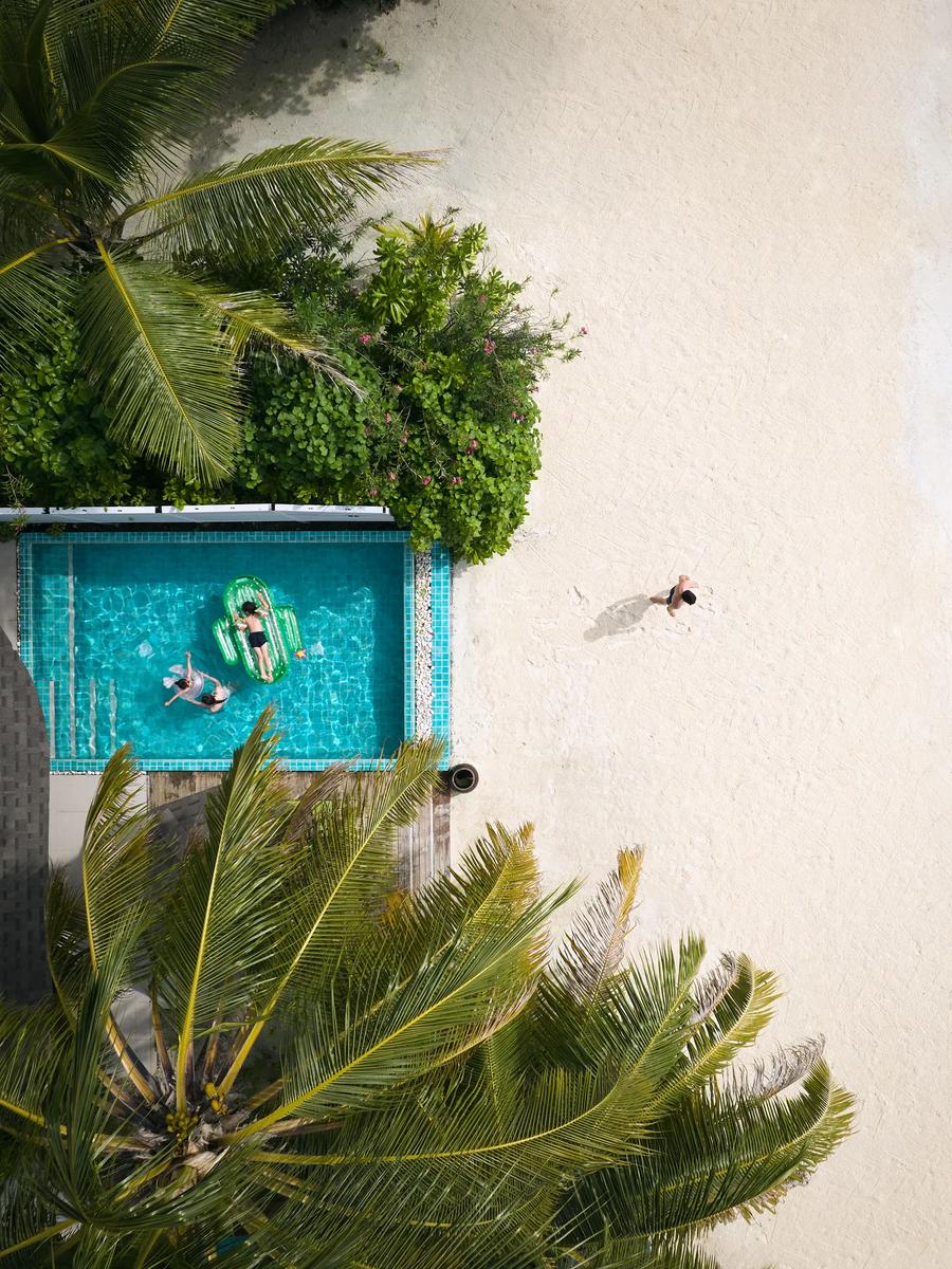 A straight-down aerial view of a beachfront villa's plunge pool shaded by a coconut palm