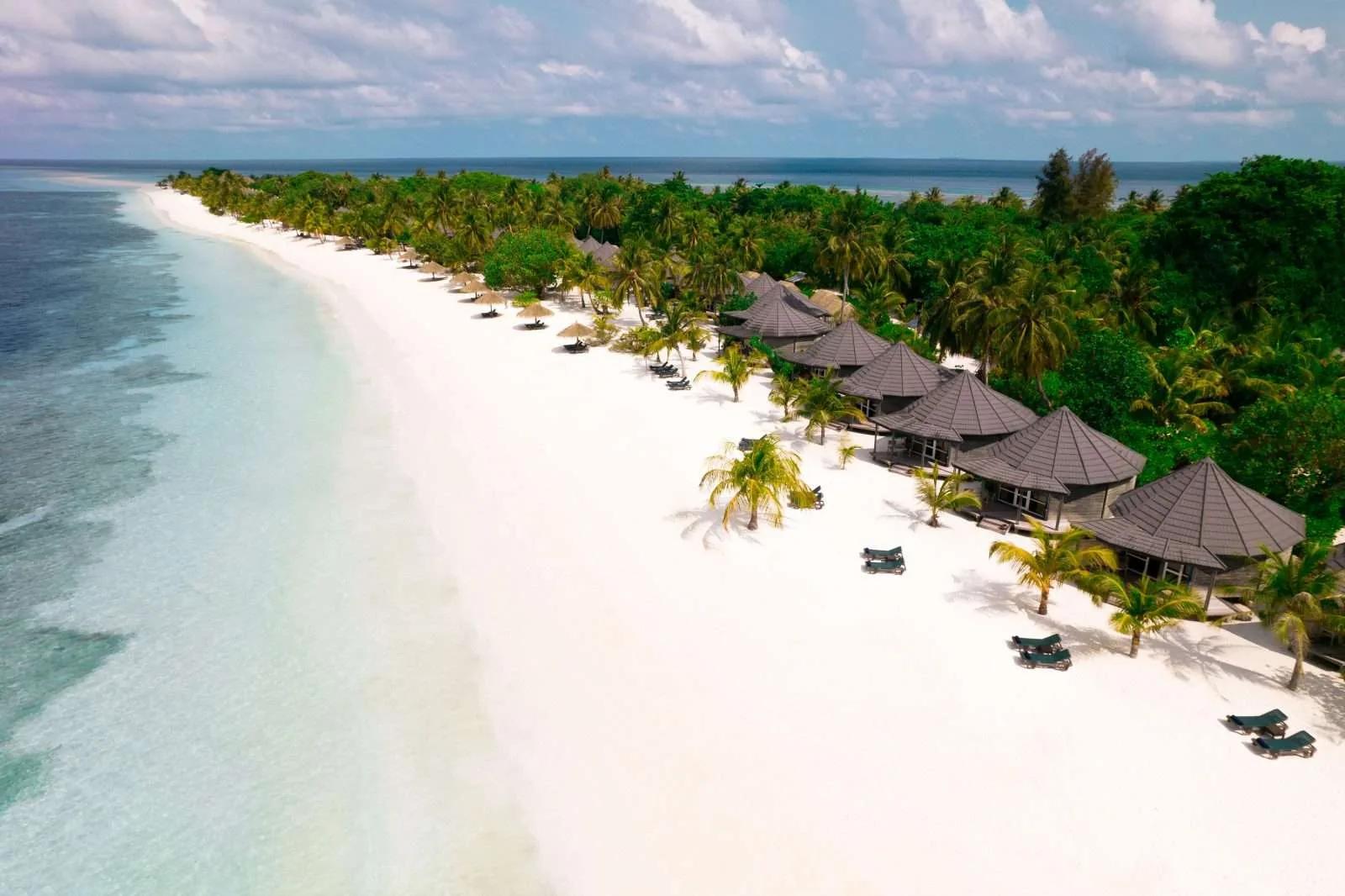 Aerial view of a row of Premium Beach Villas along the shoreline, palm trees between each roof