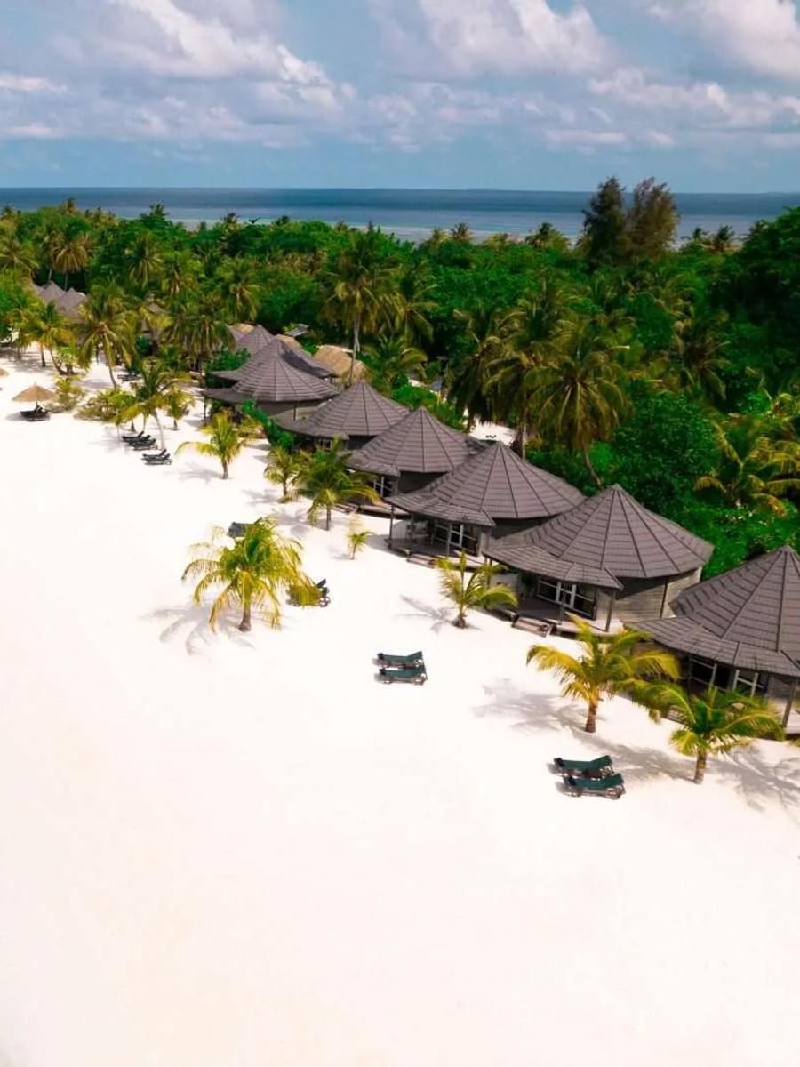 Aerial view of a row of Premium Beach Villas along the shoreline, palm trees between each roof