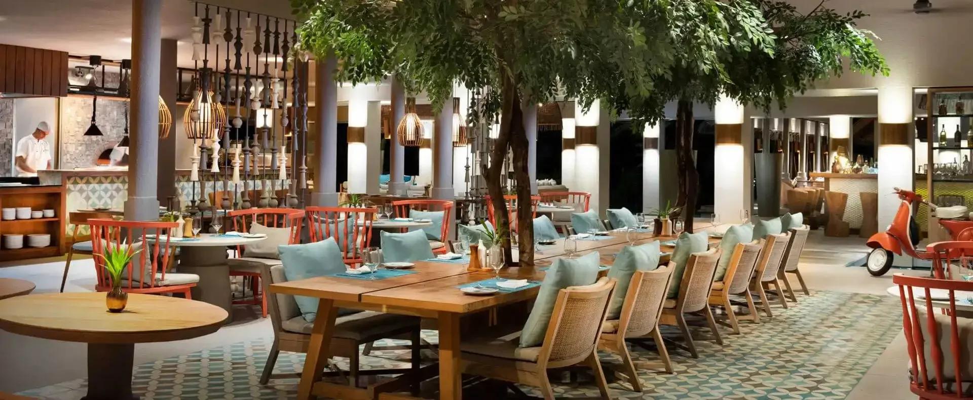 Isoletta's poolside dining room, tables set beneath a canopy of greenery strung with rattan pendant lights