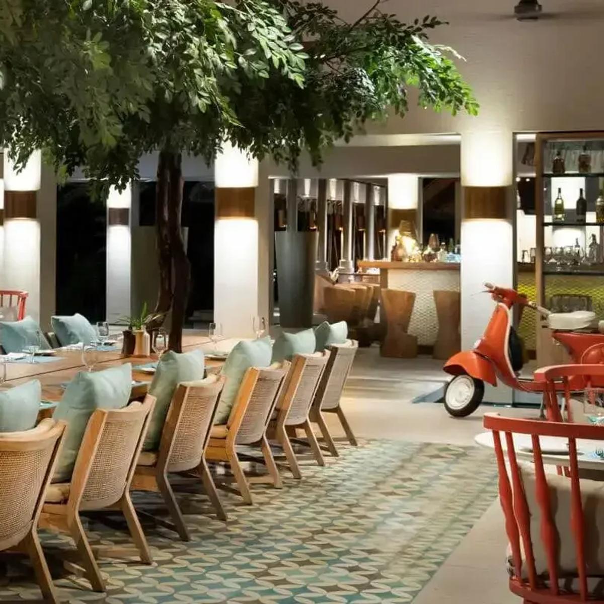 Isoletta's poolside dining room, tables set beneath a canopy of greenery strung with rattan pendant lights