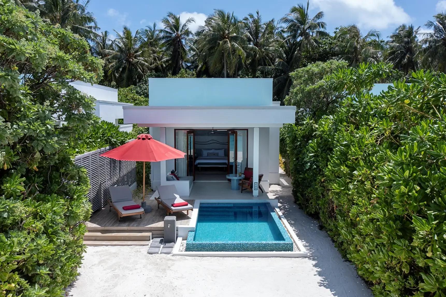 A hedge-screened Beach Villa with Pool seen from above, its plunge pool set beneath tall coconut palms