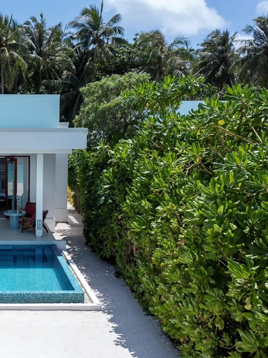 A hedge-screened Beach Villa with Pool seen from above, its plunge pool set beneath tall coconut palms