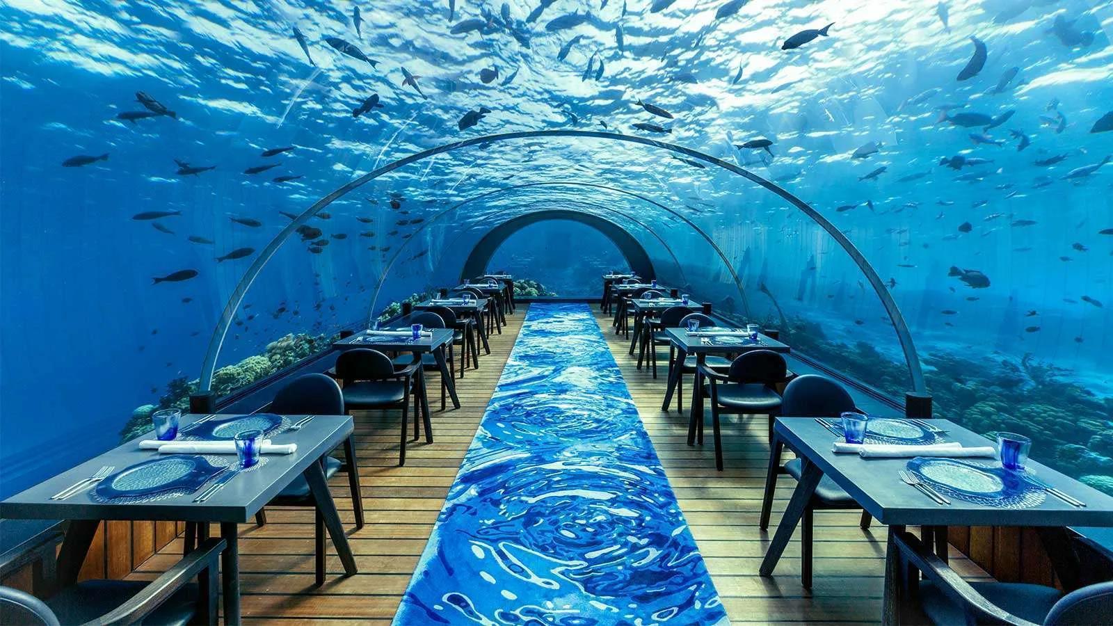Table settings laid inside the empty 5.8 Undersea Restaurant's glass tunnel, reef fish visible swimming past the curved windows