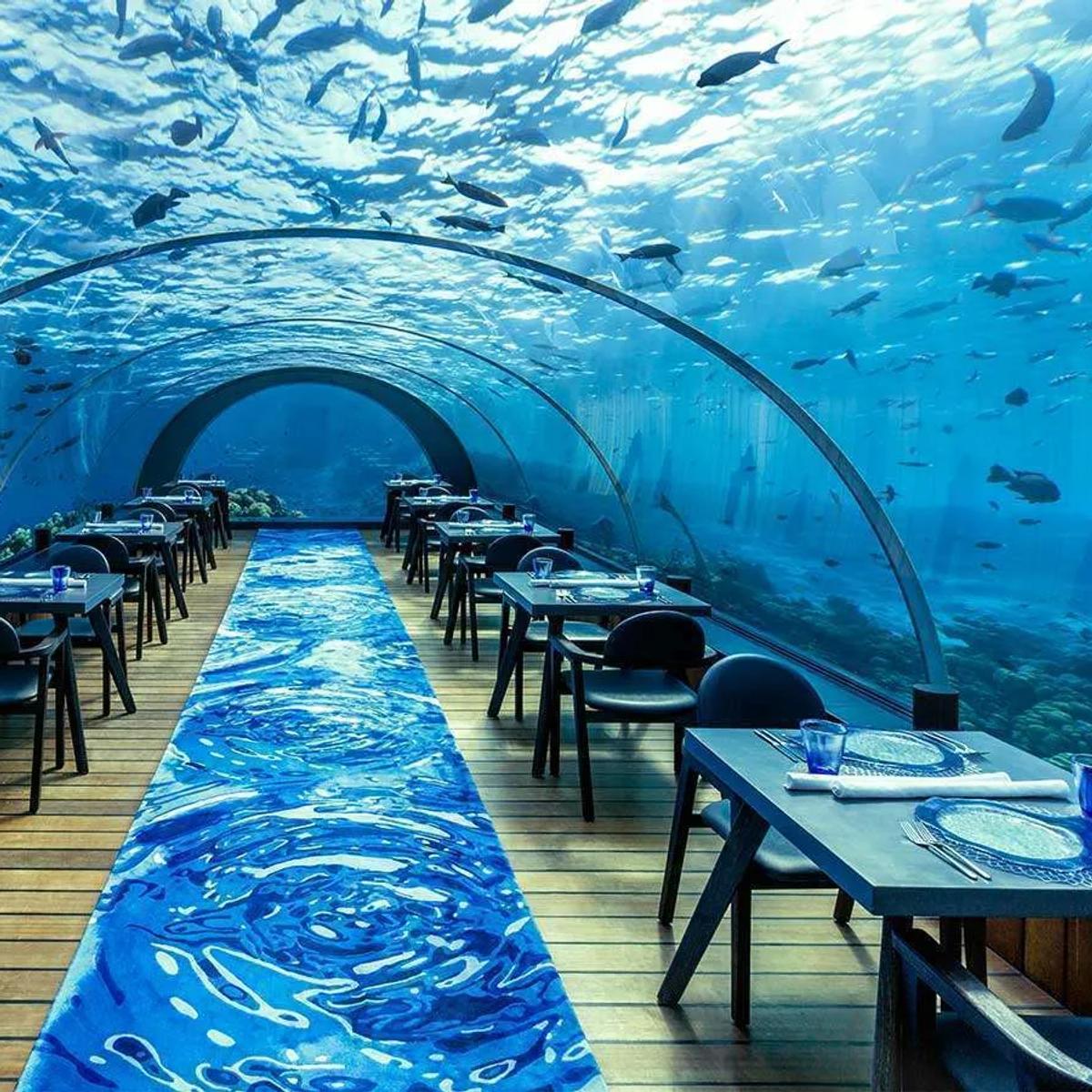 Table settings laid inside the empty 5.8 Undersea Restaurant's glass tunnel, reef fish visible swimming past the curved windows
