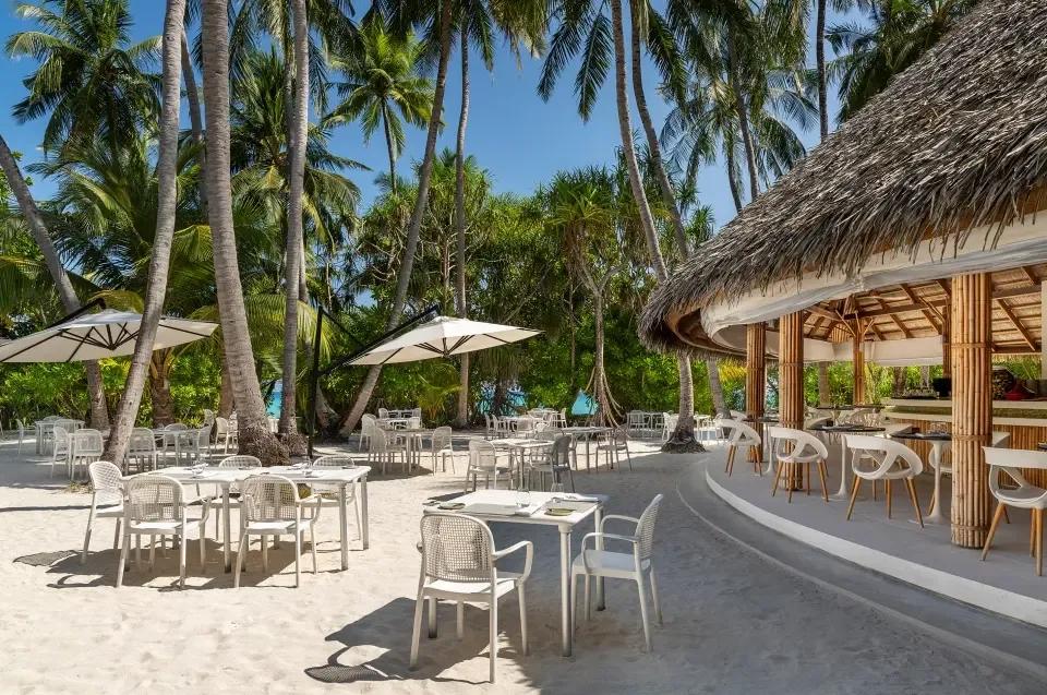 Palm restaurant's thatched bar and open-air tables set among tall coconut palms on the beach