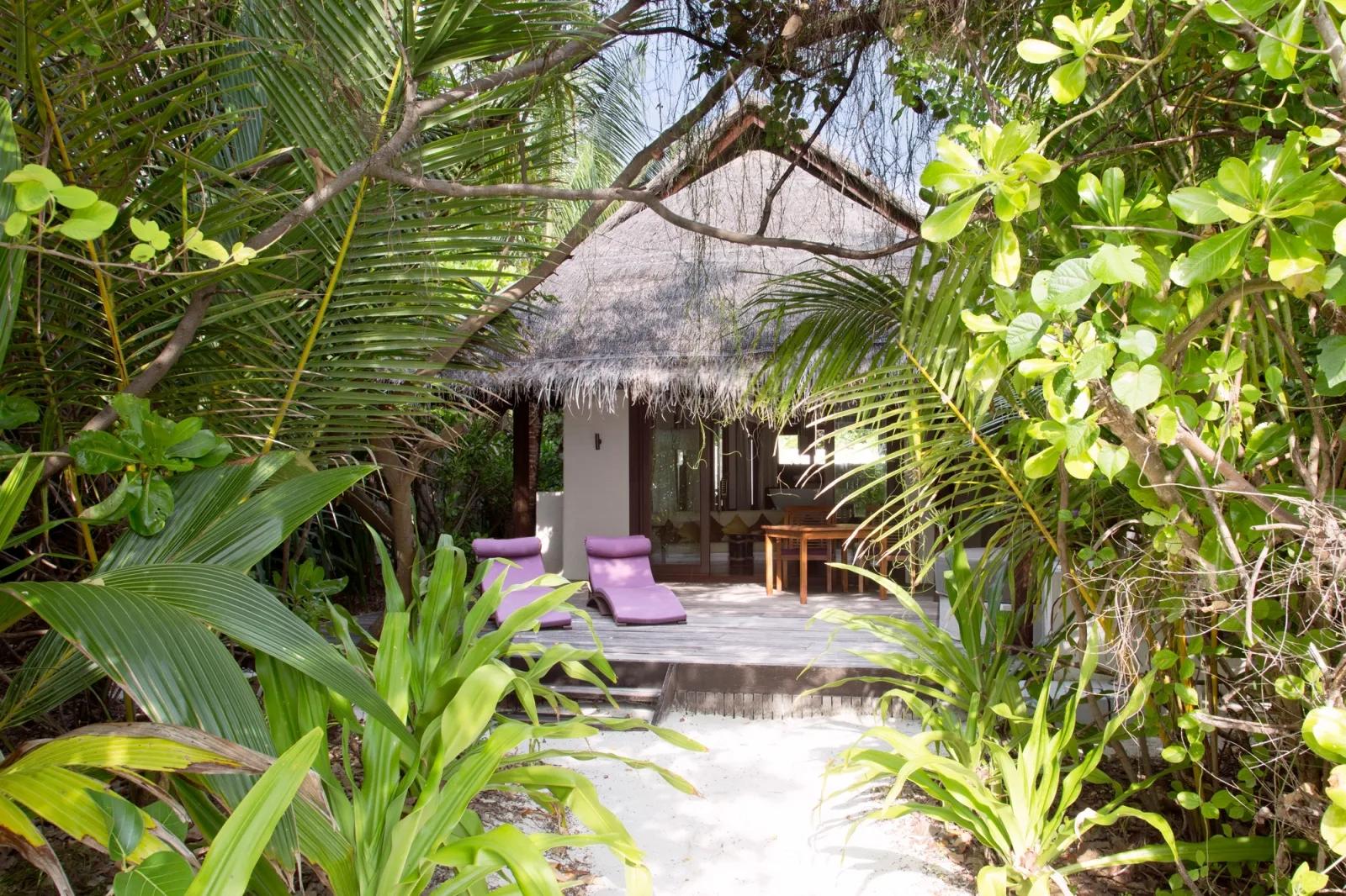 A jungle path lined with tropical foliage leading to an Island Villa with Pool, purple loungers on the deck