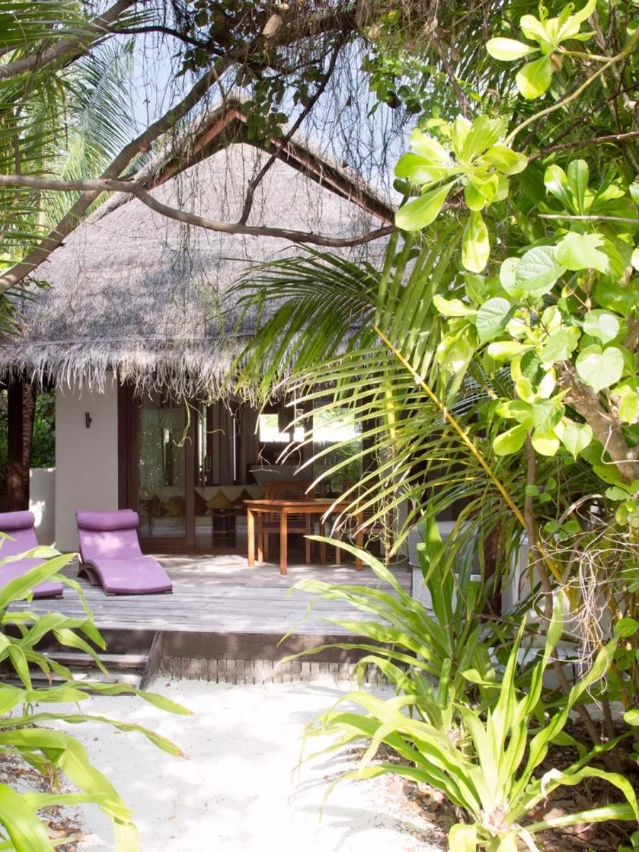 A jungle path lined with tropical foliage leading to an Island Villa with Pool, purple loungers on the deck