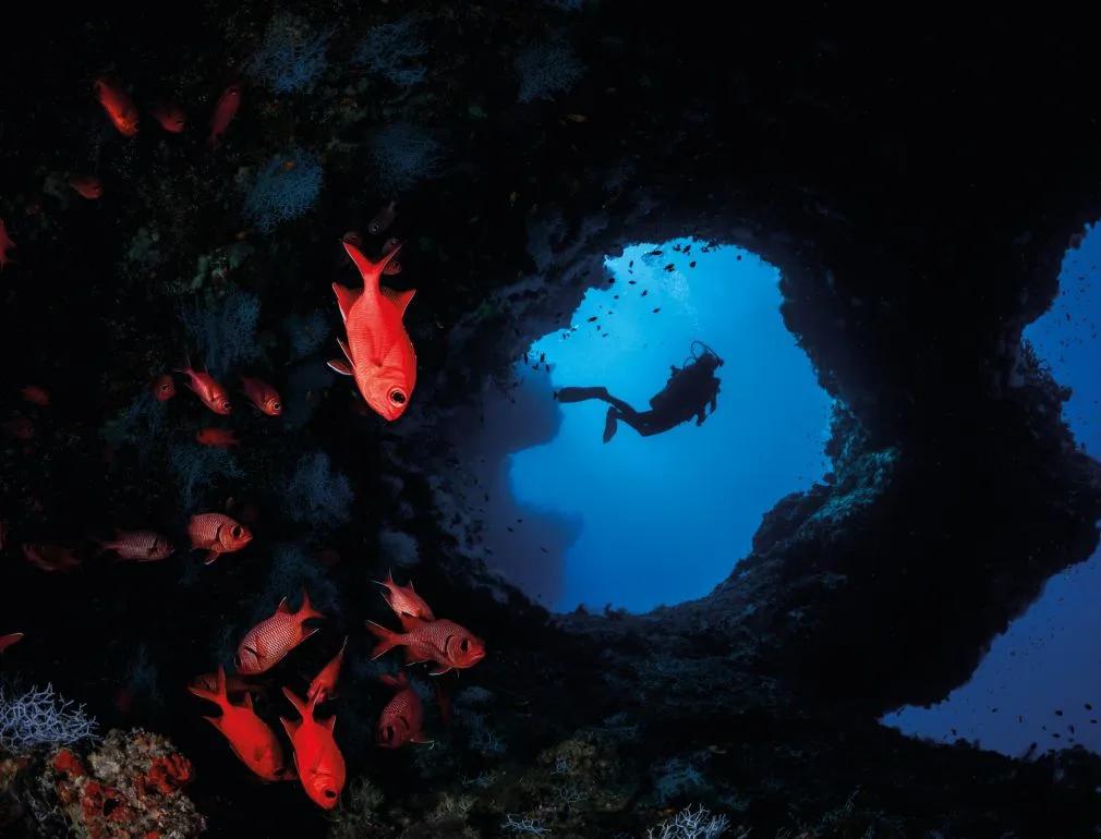 A scuba diver silhouetted in a cavern opening, surrounded by red soldierfish over the reef