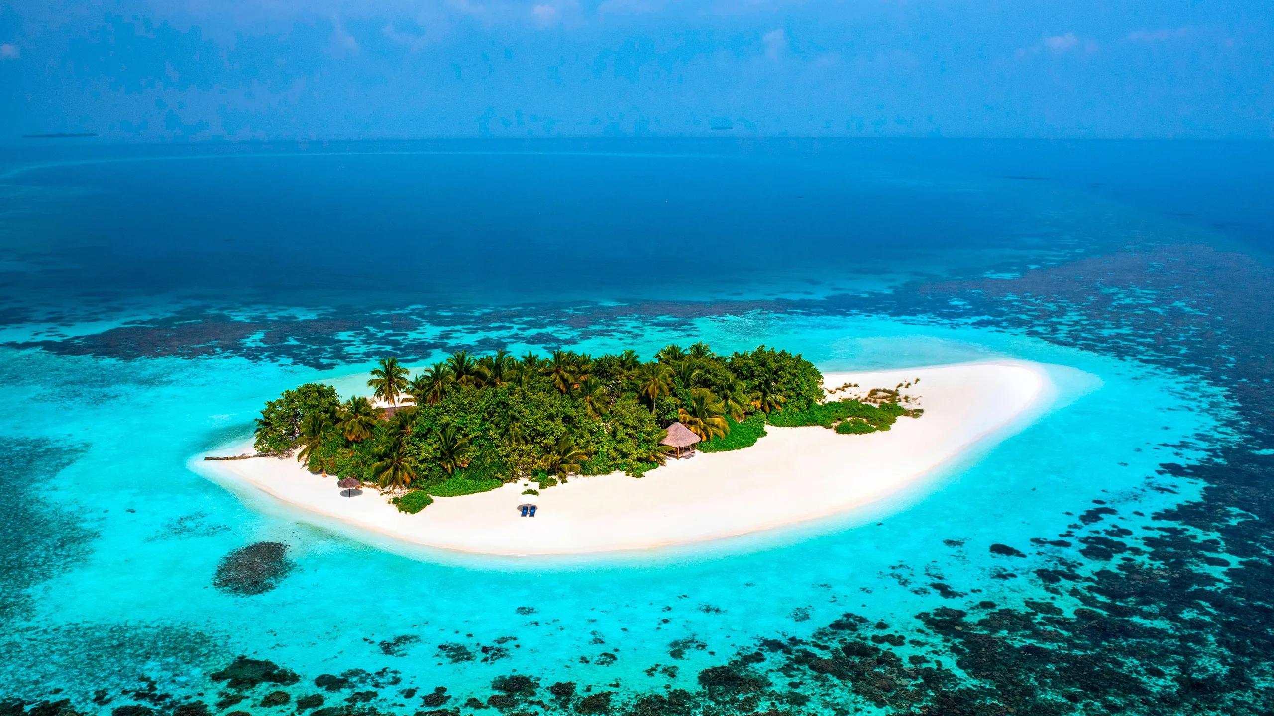 Aerial view of a small sandbank island near W Maldives, ringed by reef — the kind of islet used for a private day excursion
