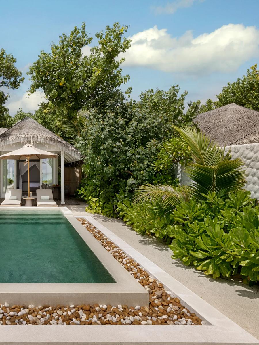 A beachfront pool villa framed by palms, its thatched roof and private plunge pool visible through the garden.