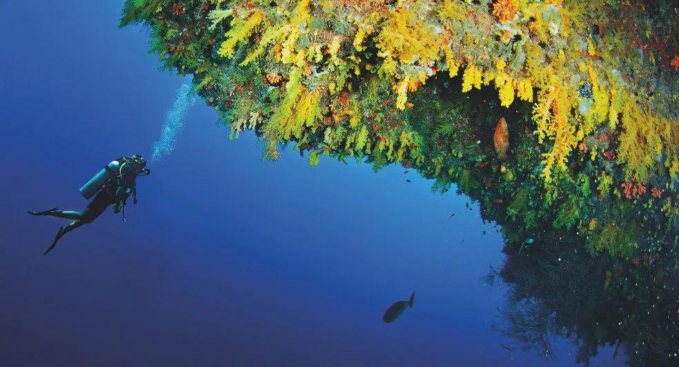 A scuba diver exploring the coral house reef at Anantara Kihavah Maldives Villas